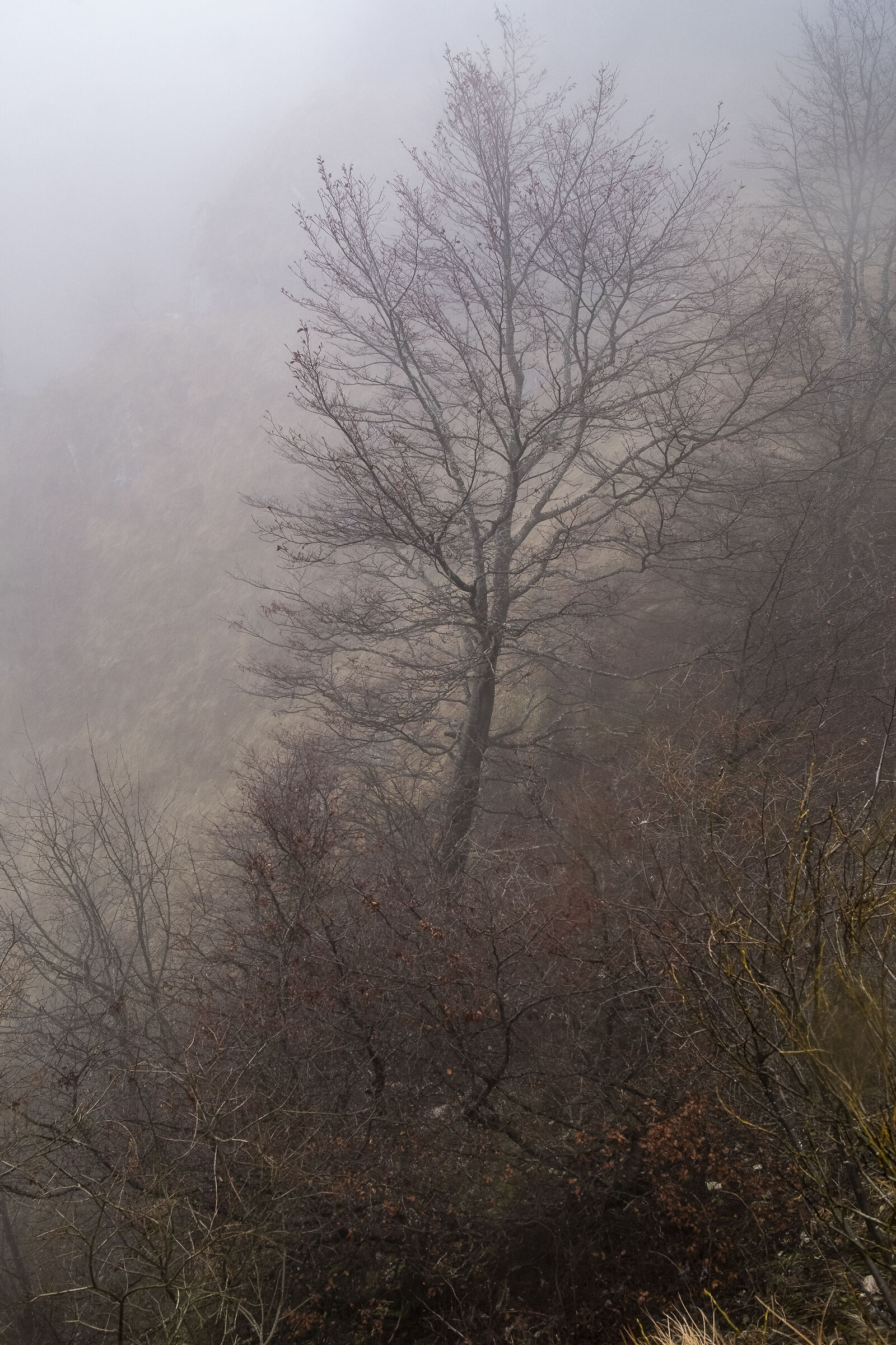 Monte Grappa nella nebbia delle nuvole