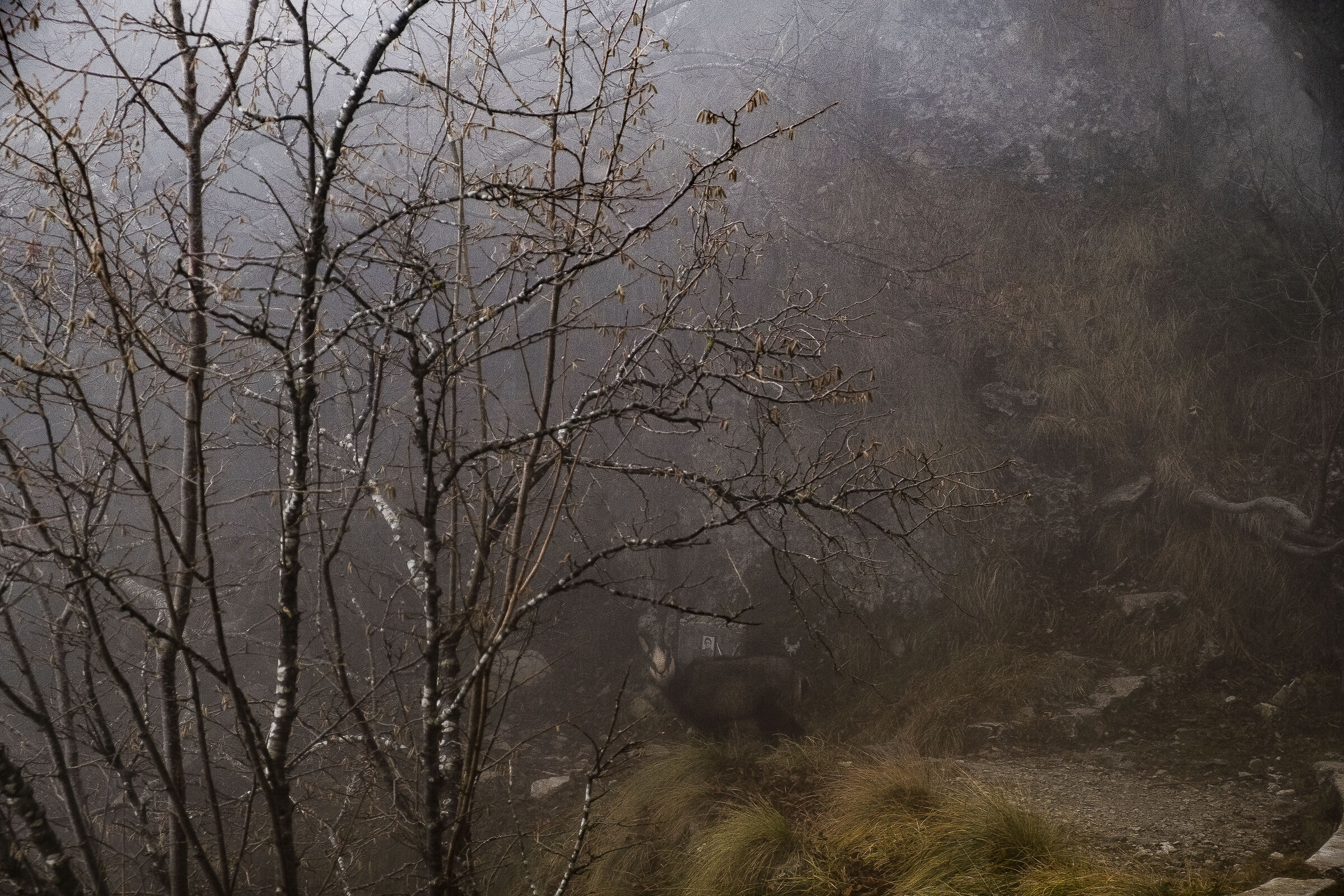 Monte Grappa in the fog of the clouds