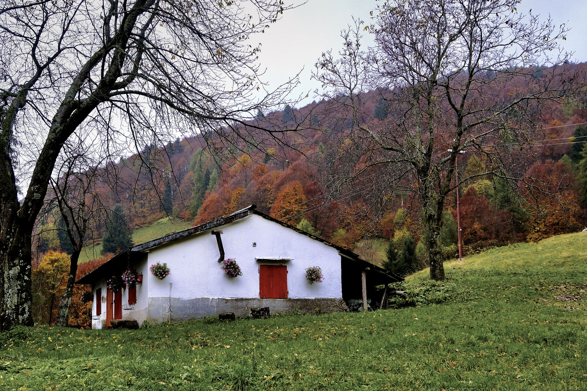 Autunno 2024 - Casetta