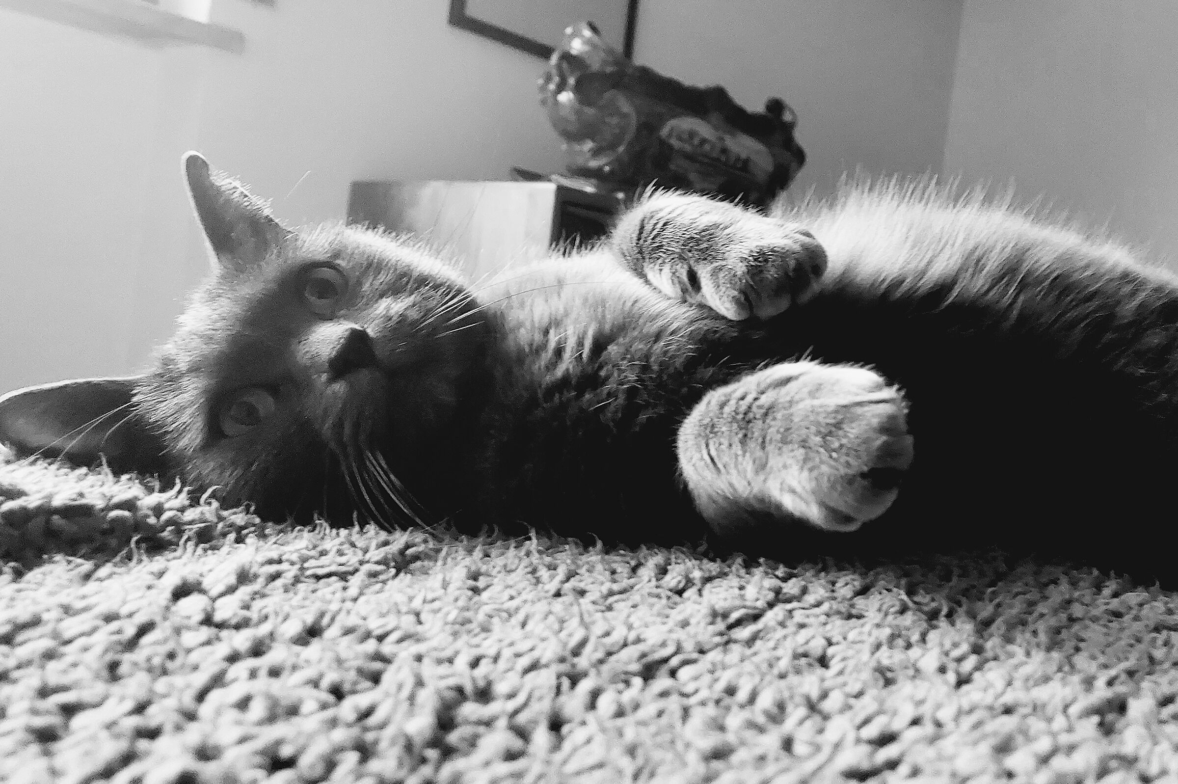 Arthur