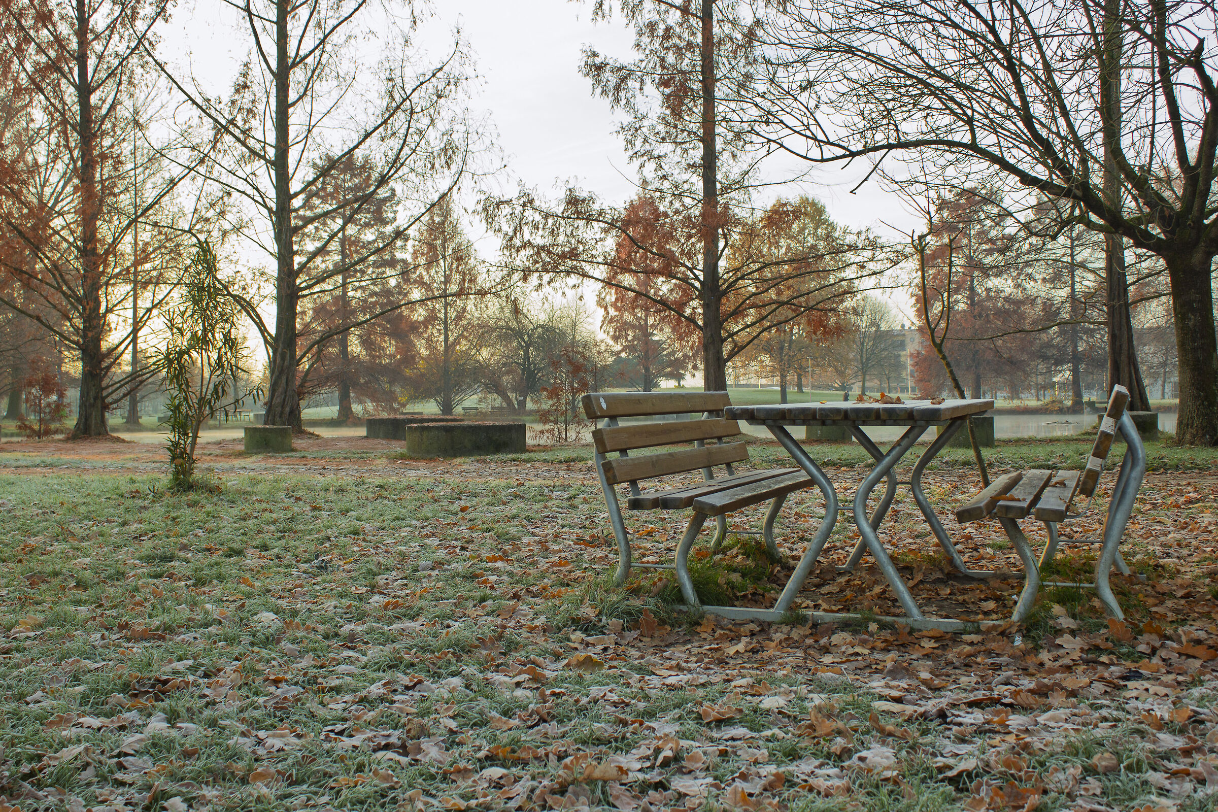 Autumn at the park