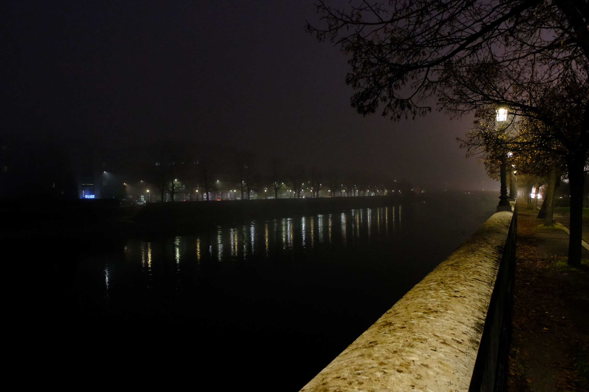 Untitled Photo