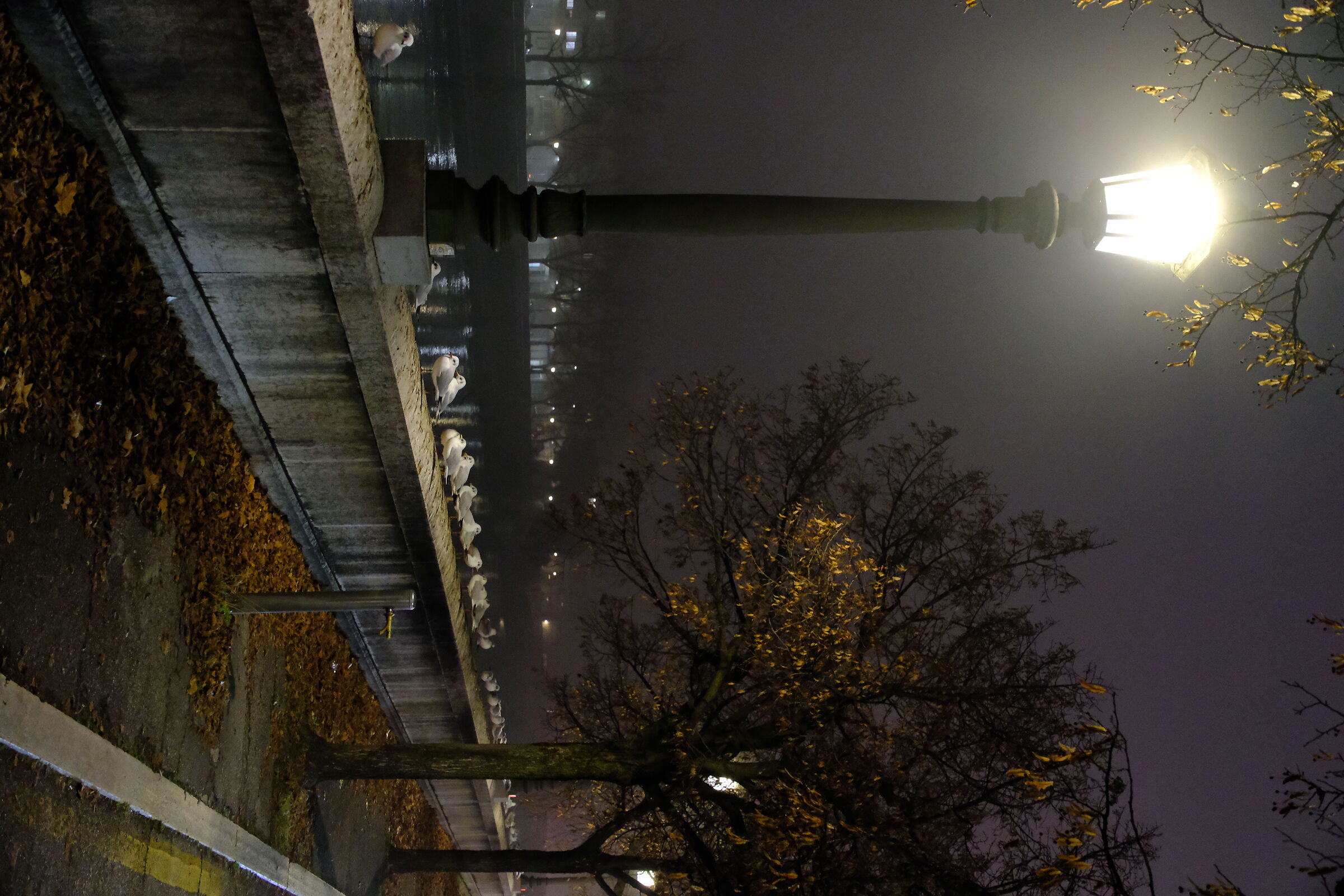 Untitled Photo