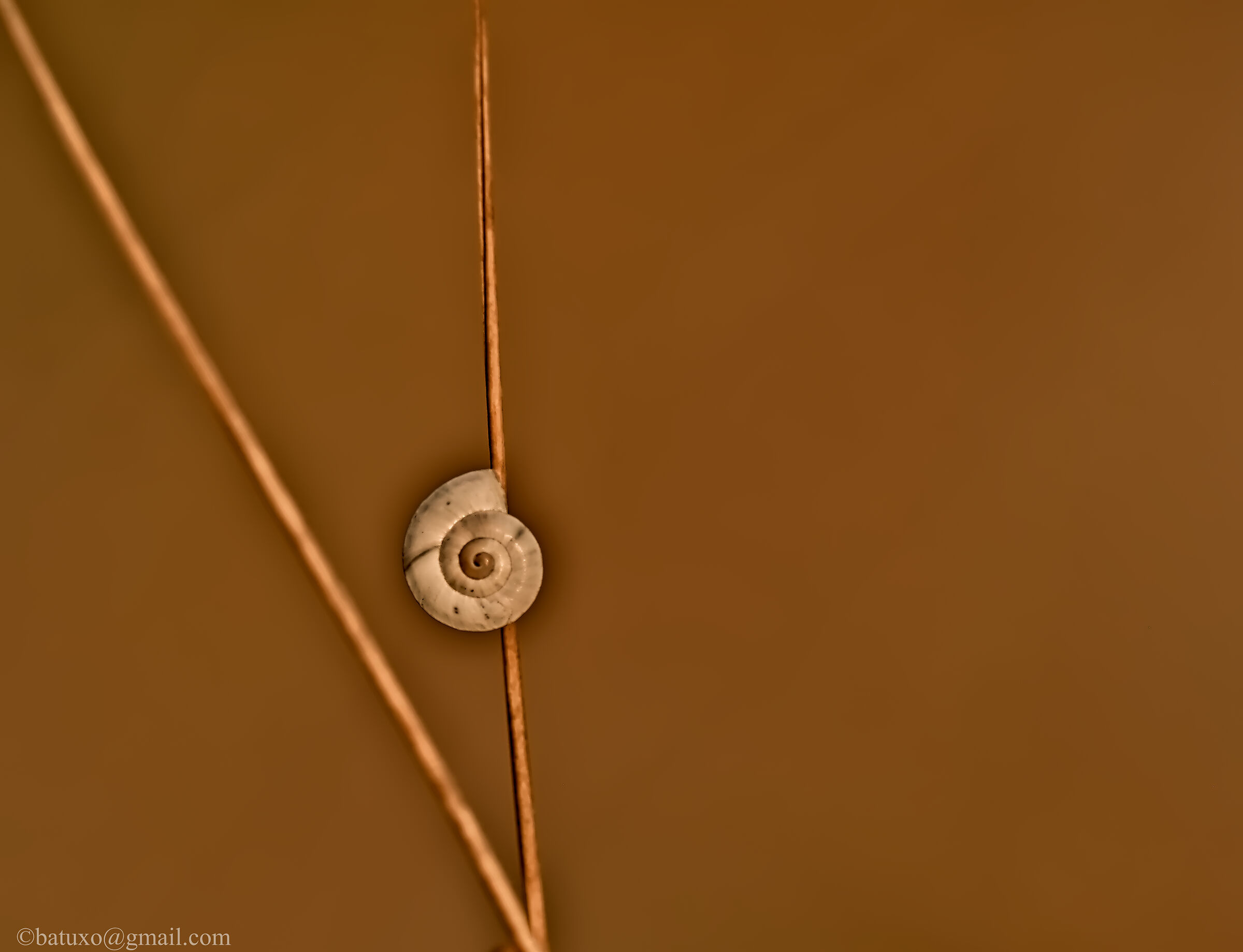 Solpor de novembro na Galiza