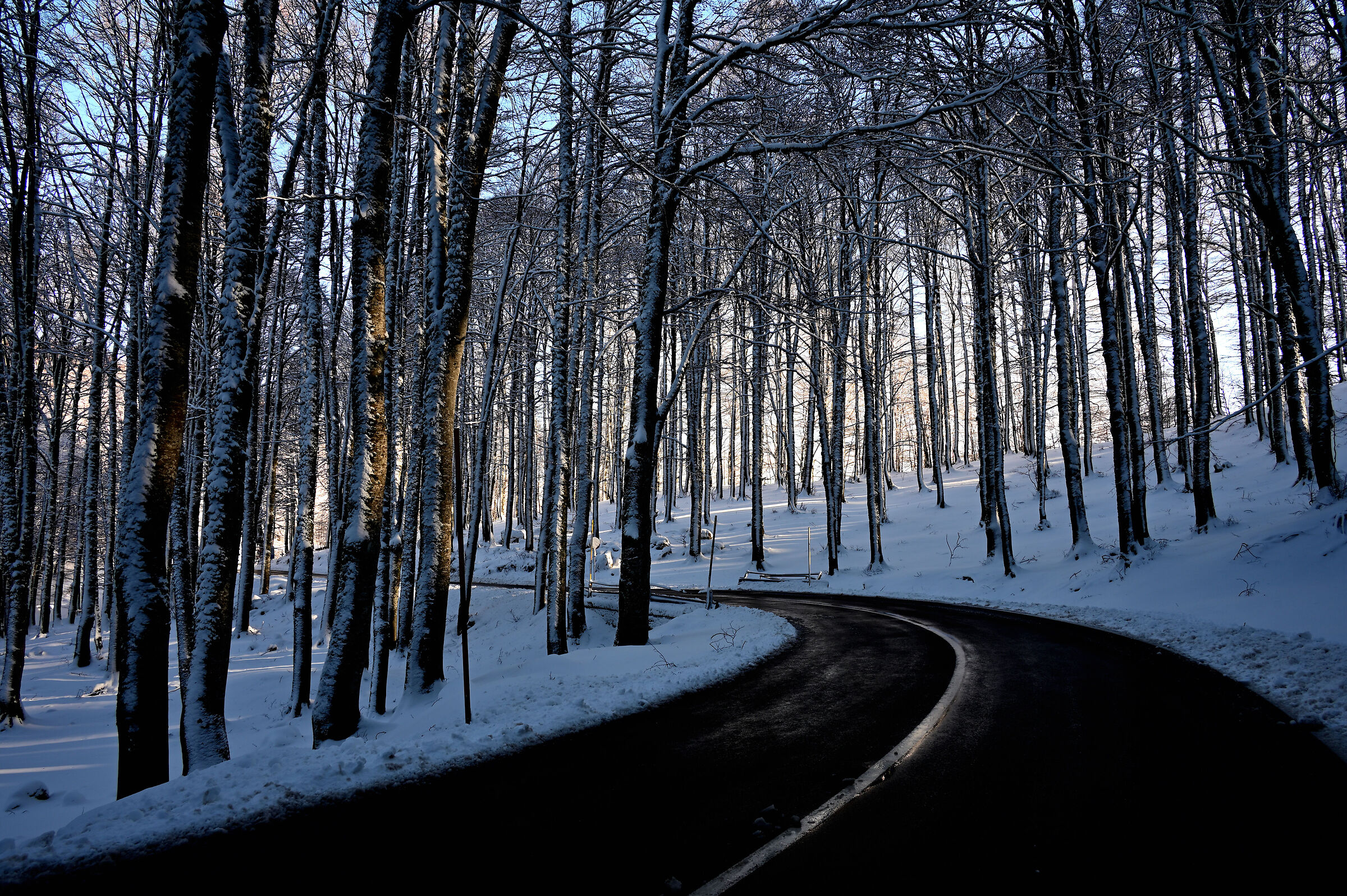 Neve a forca d'acero