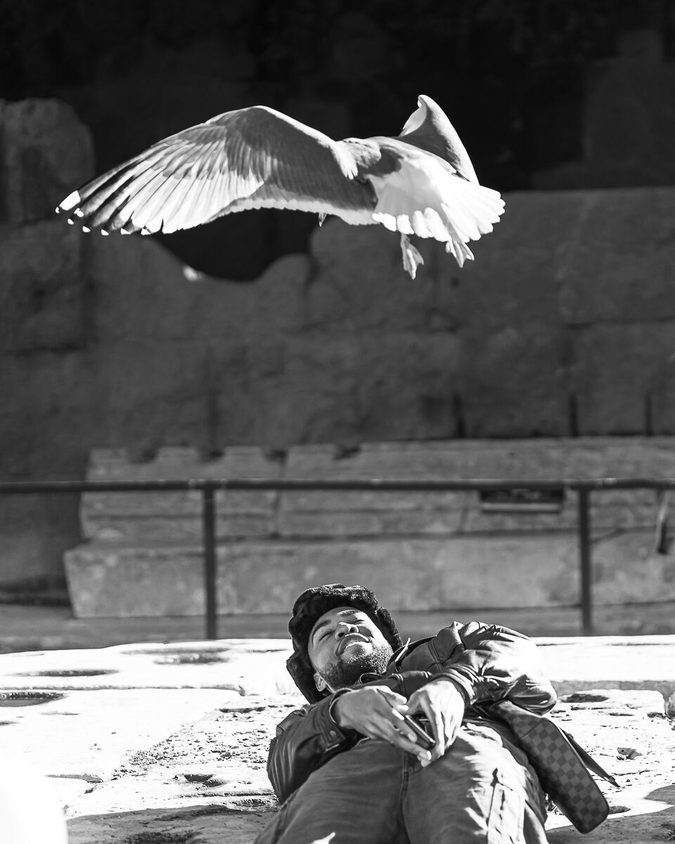 Attack (Rome, Forum)