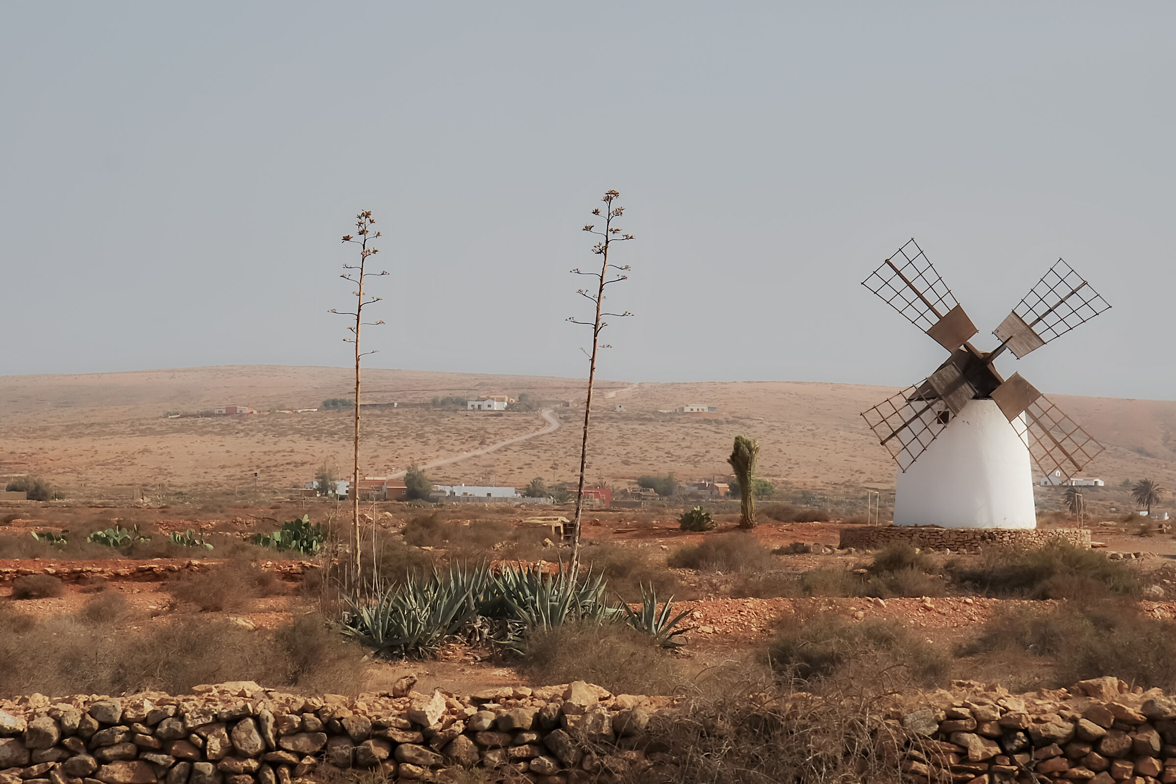 Fuerteventura