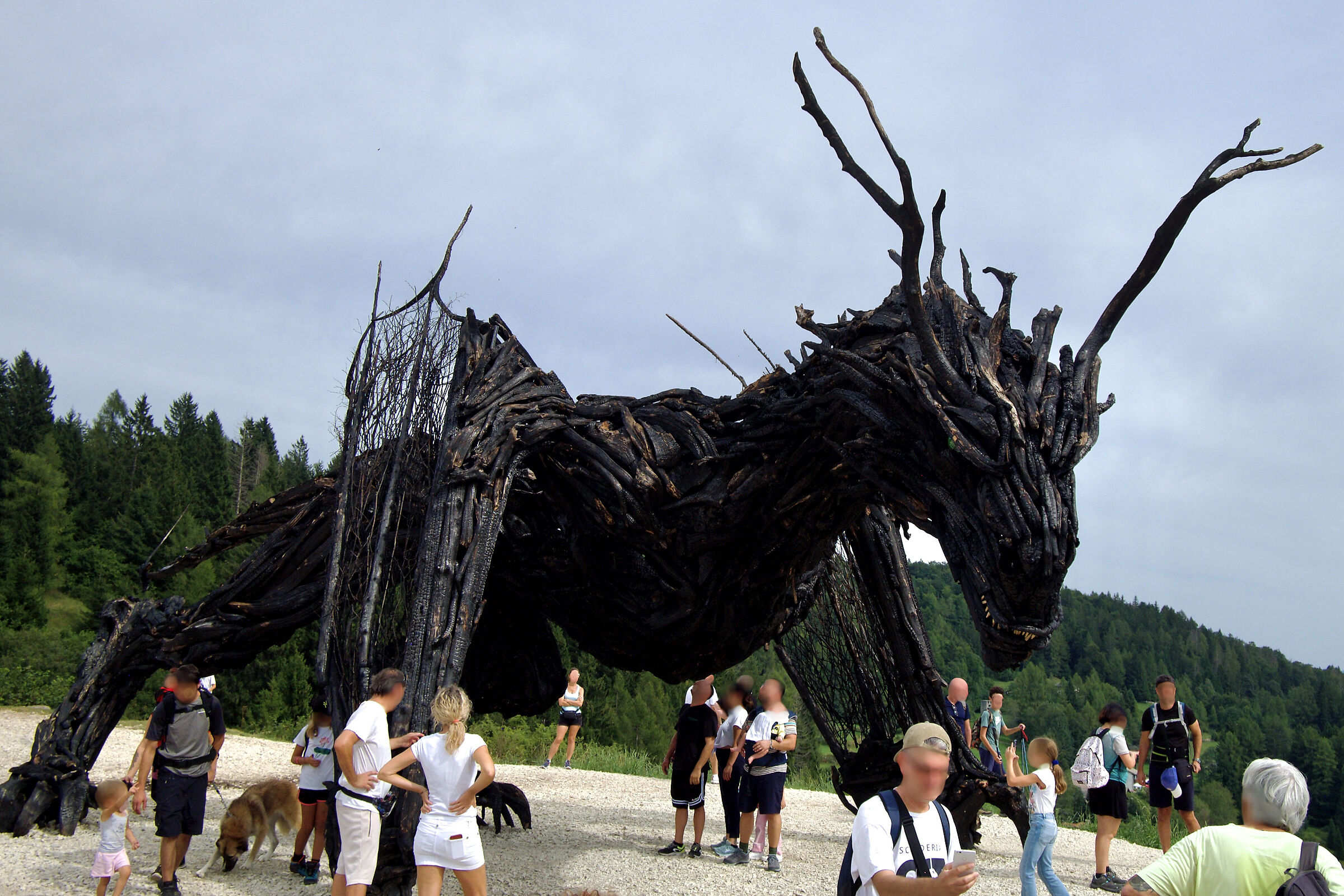 Vaia Dragon 1