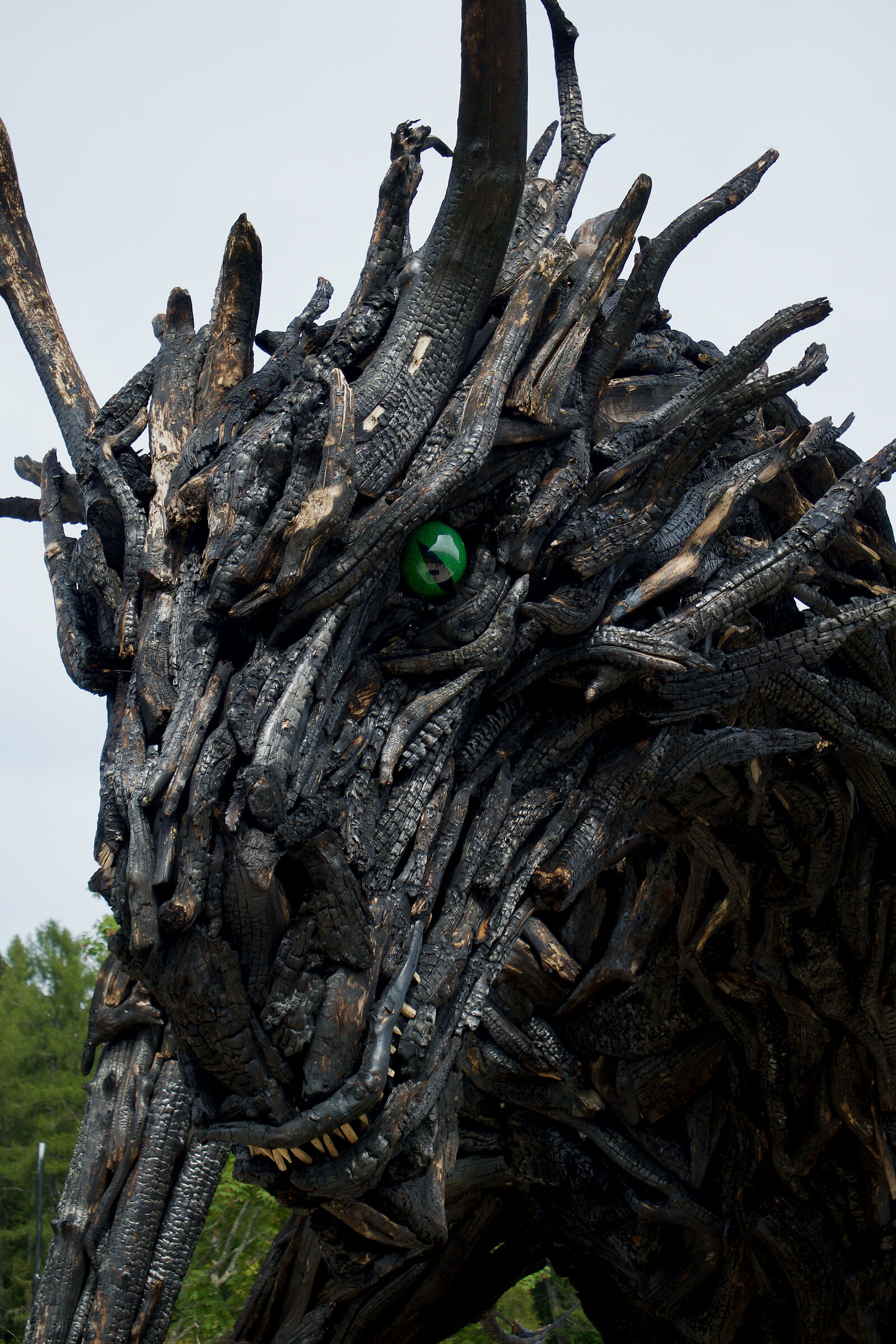 Vaia Dragon 2
