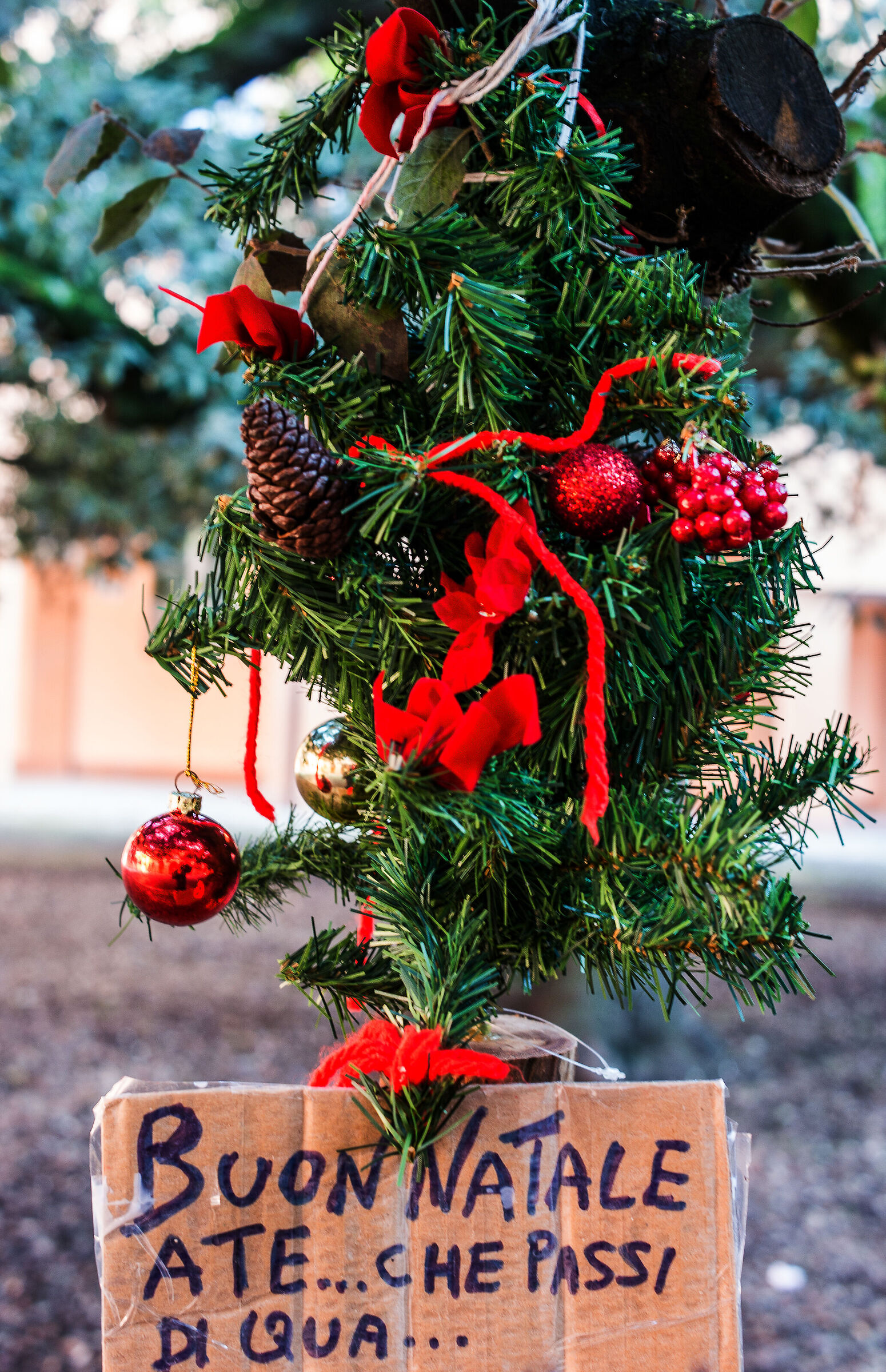 Merry Christmas to you