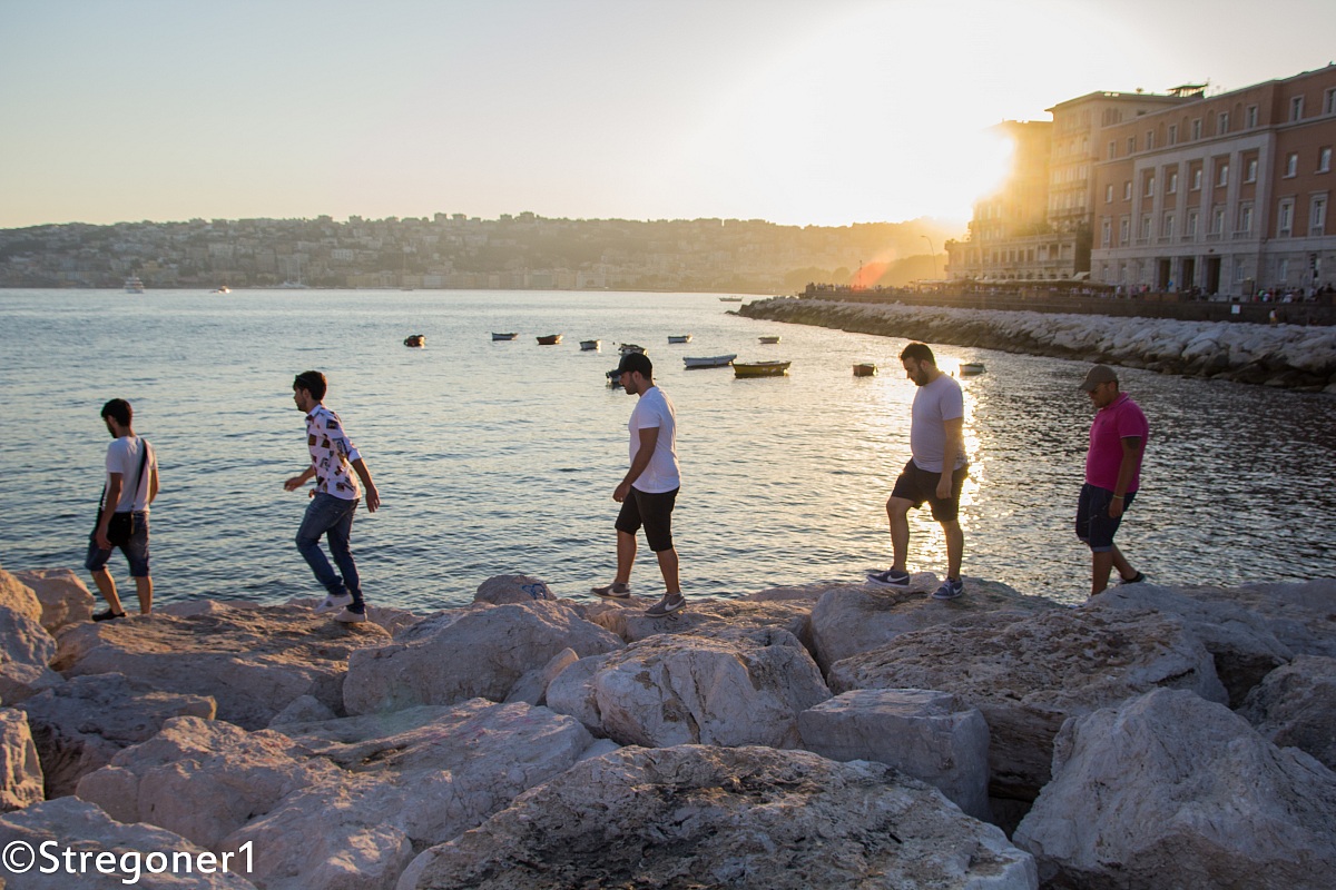 Evoluzione della specie