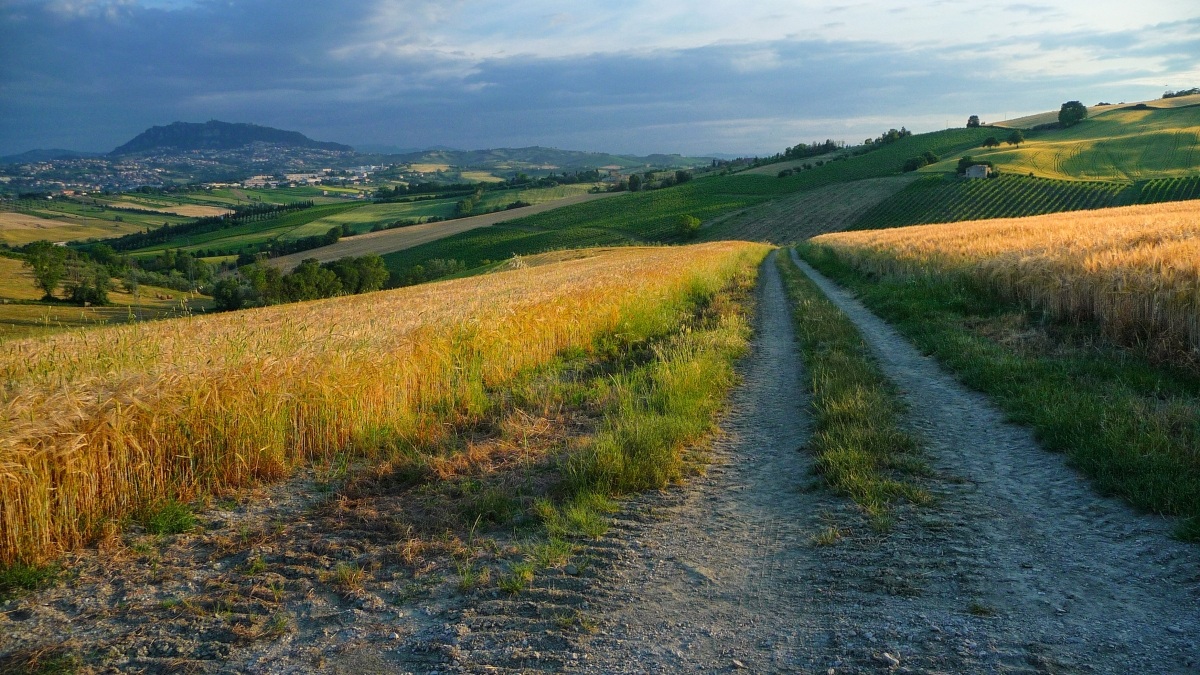 strada fra i campi