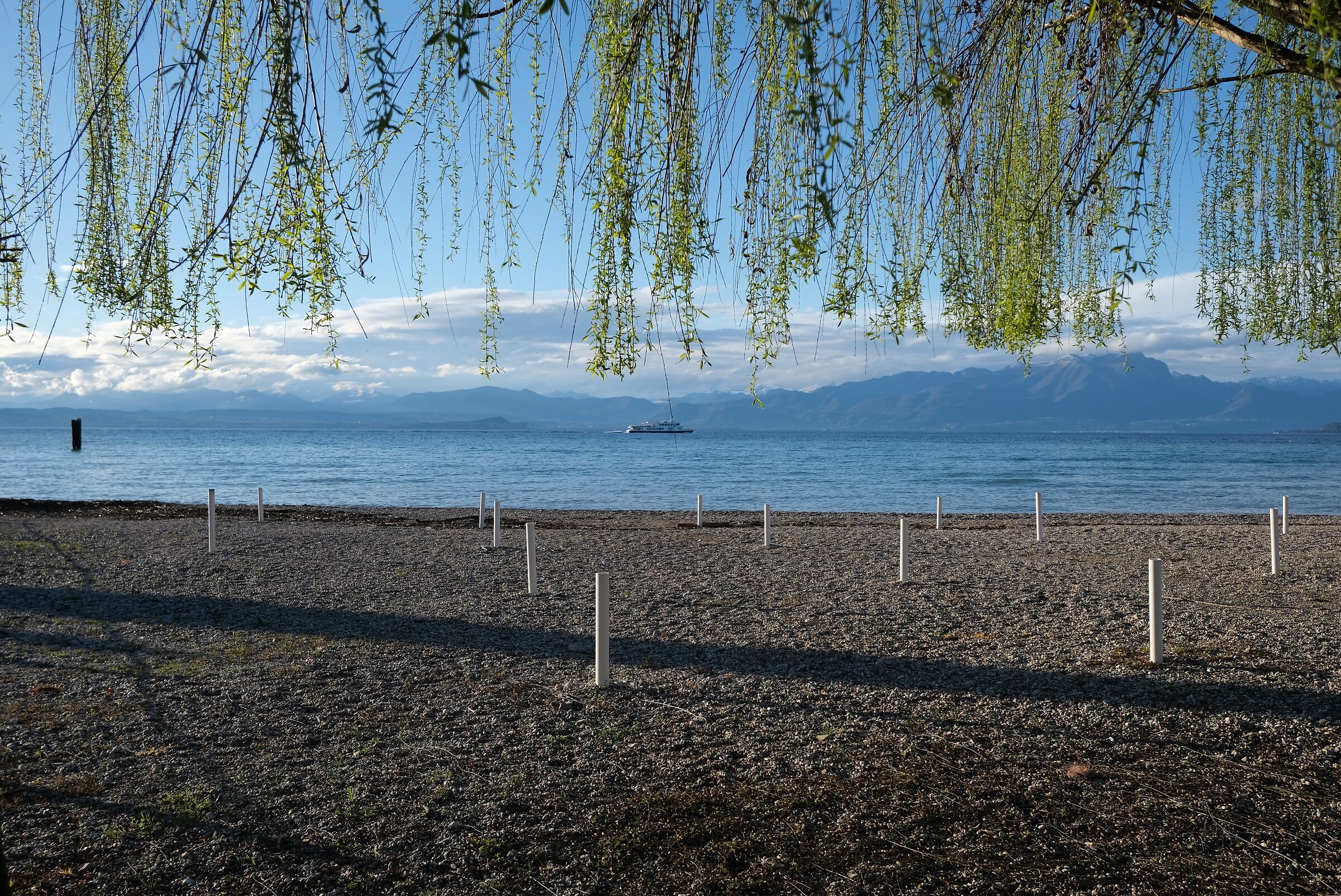Lazise