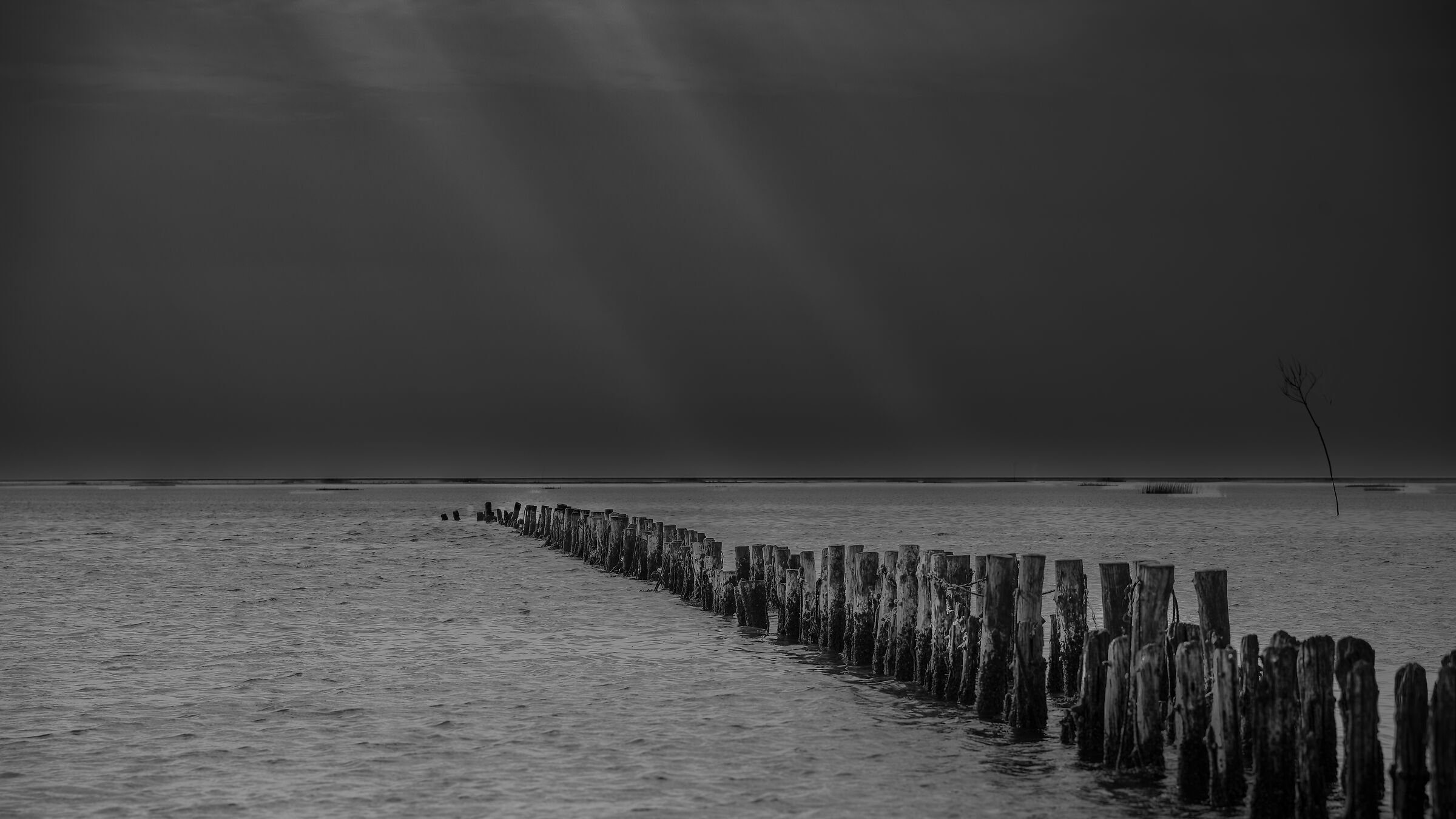 Mandø Island (dk) - Looking to the sands