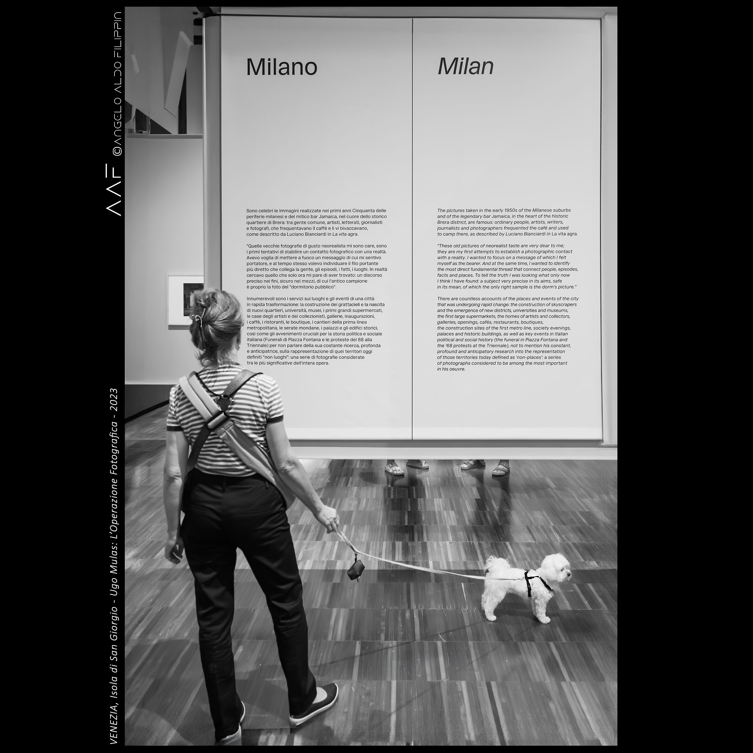 VENICE, Ugo Mulas: The Photographic Operation - 2023