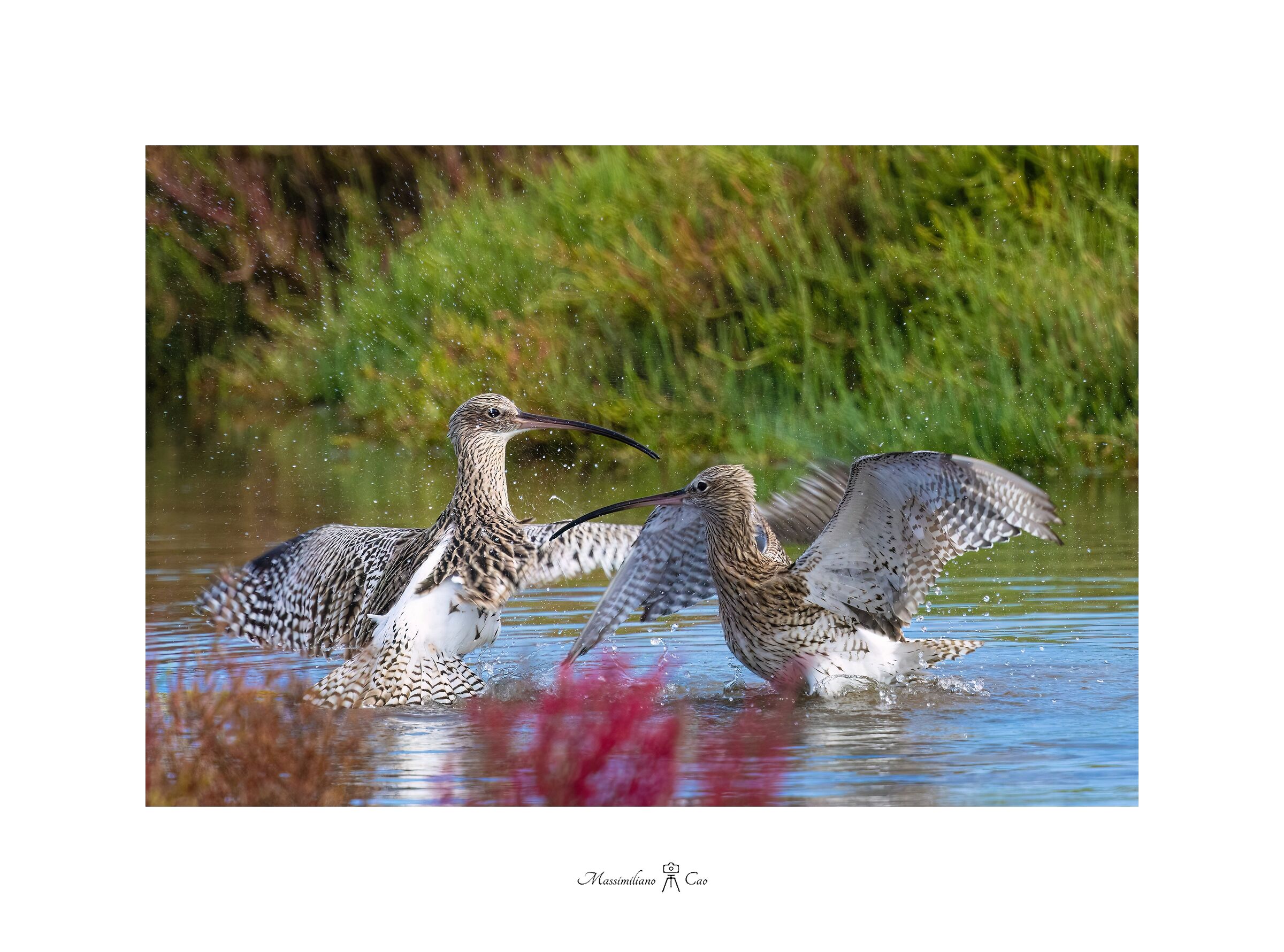 The heated discussion