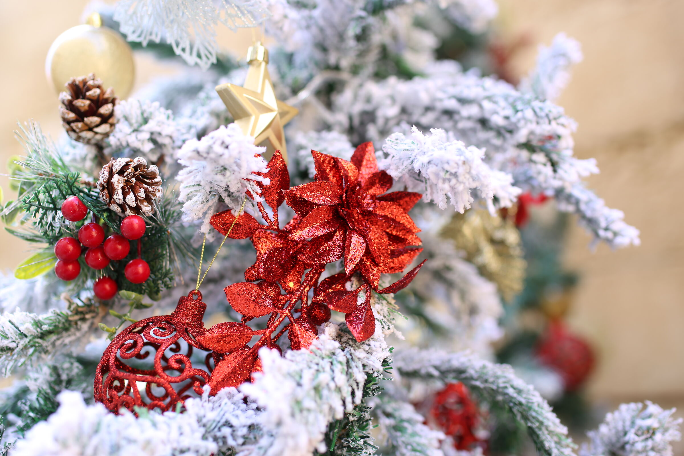 Ei, Milvus Zeiss 50, 1.4- Canon 6 D