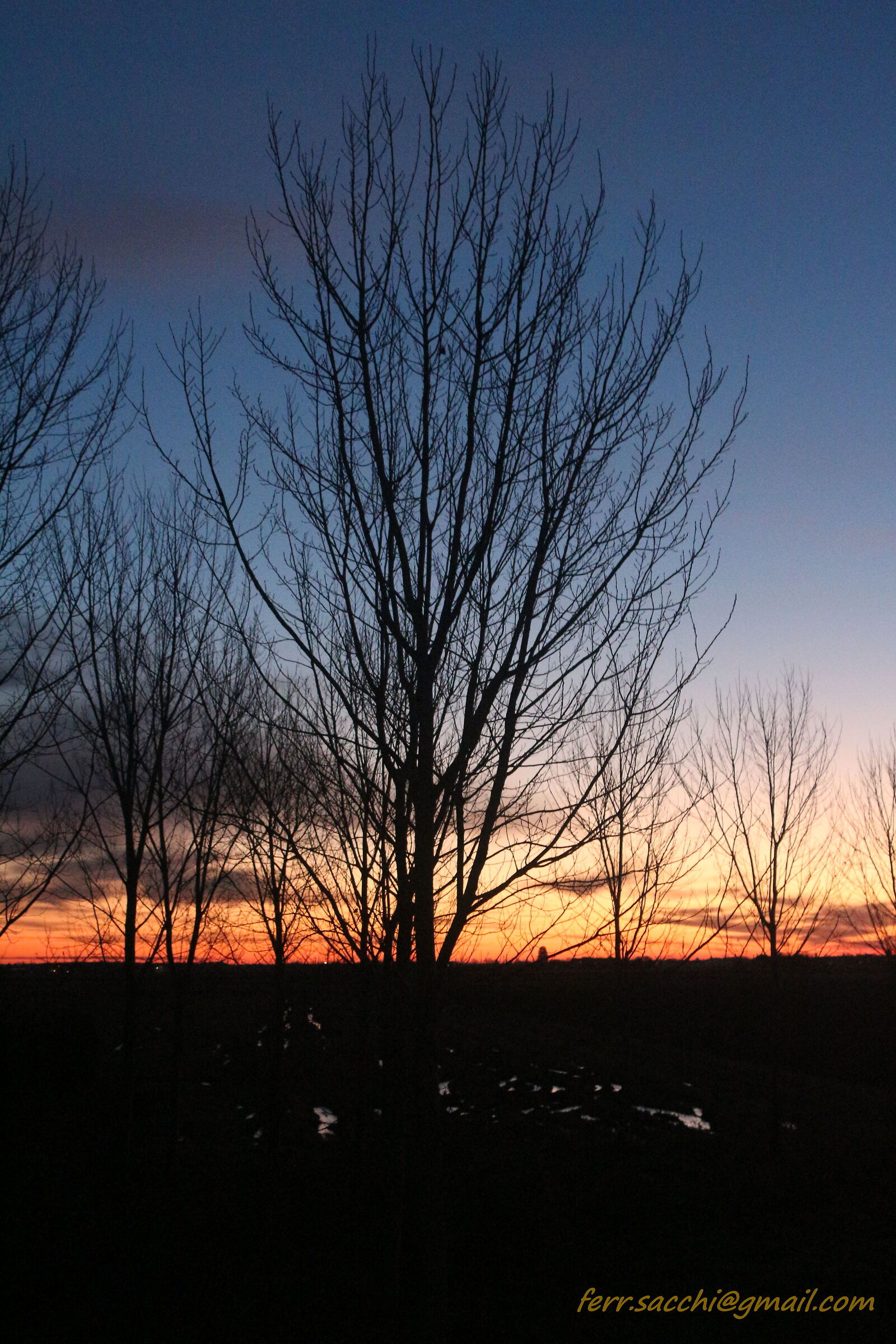 Morning dawn of 21-12-2024 0re 8,30