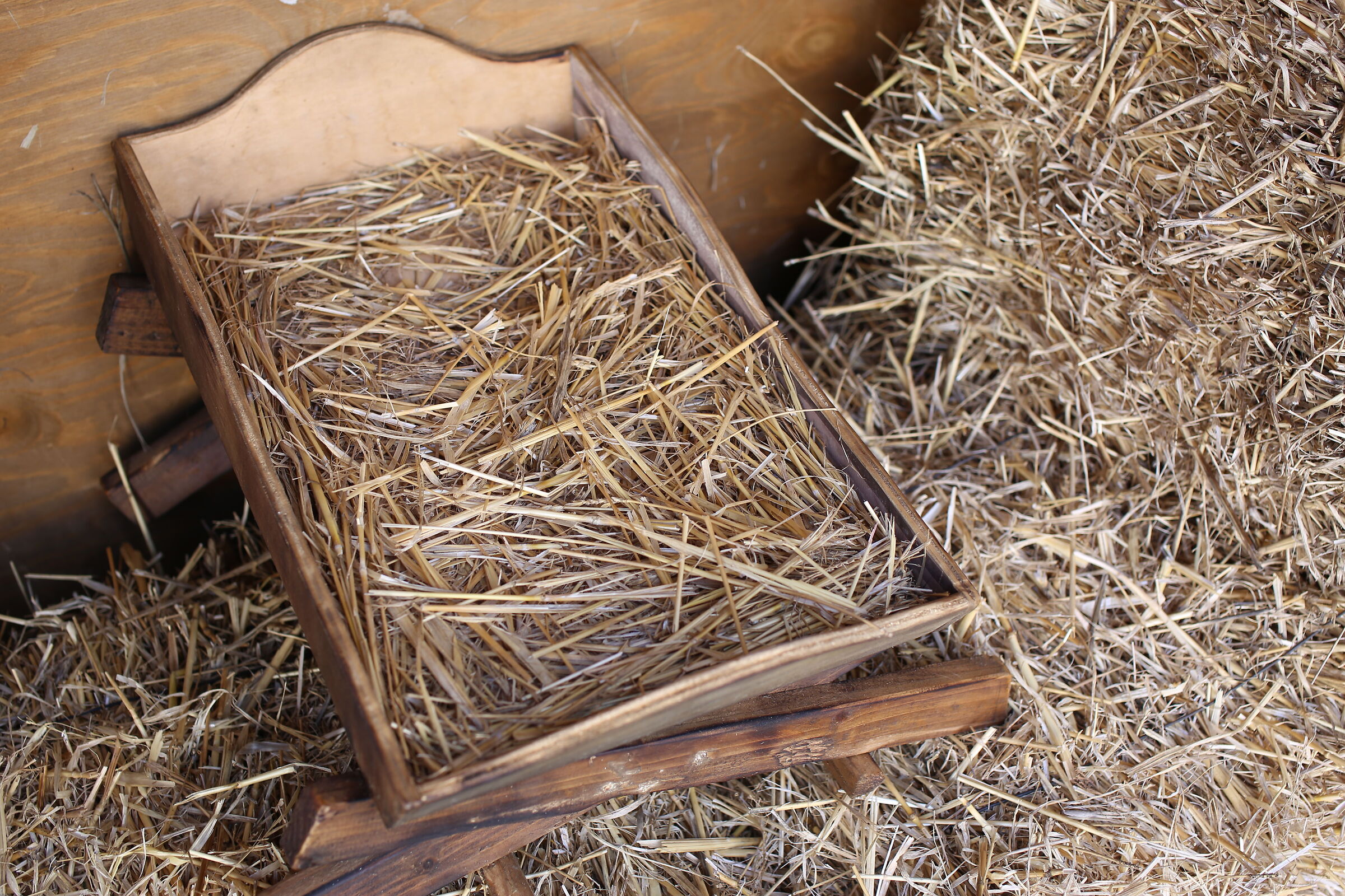 Milvus Zeiss 50, 1.4- Canon 6 D