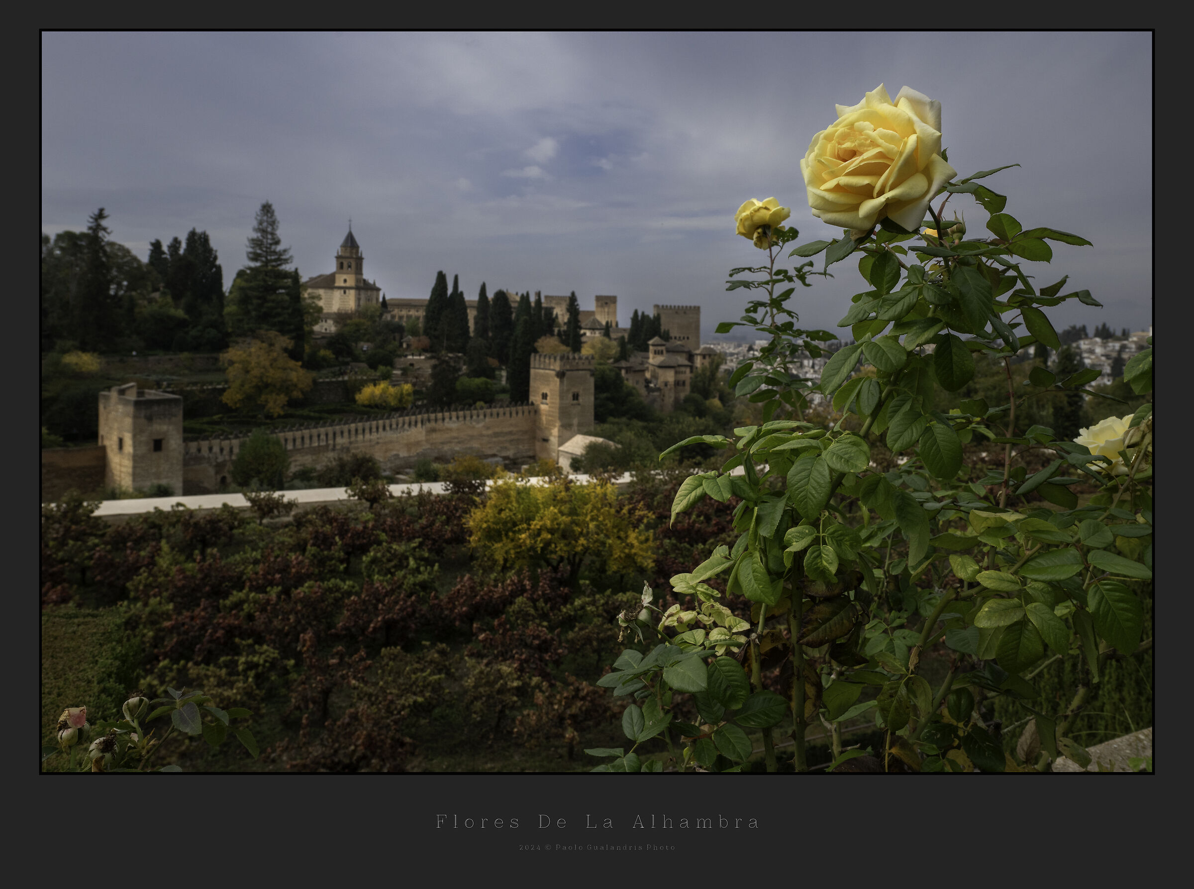 Flores De La Alhambra