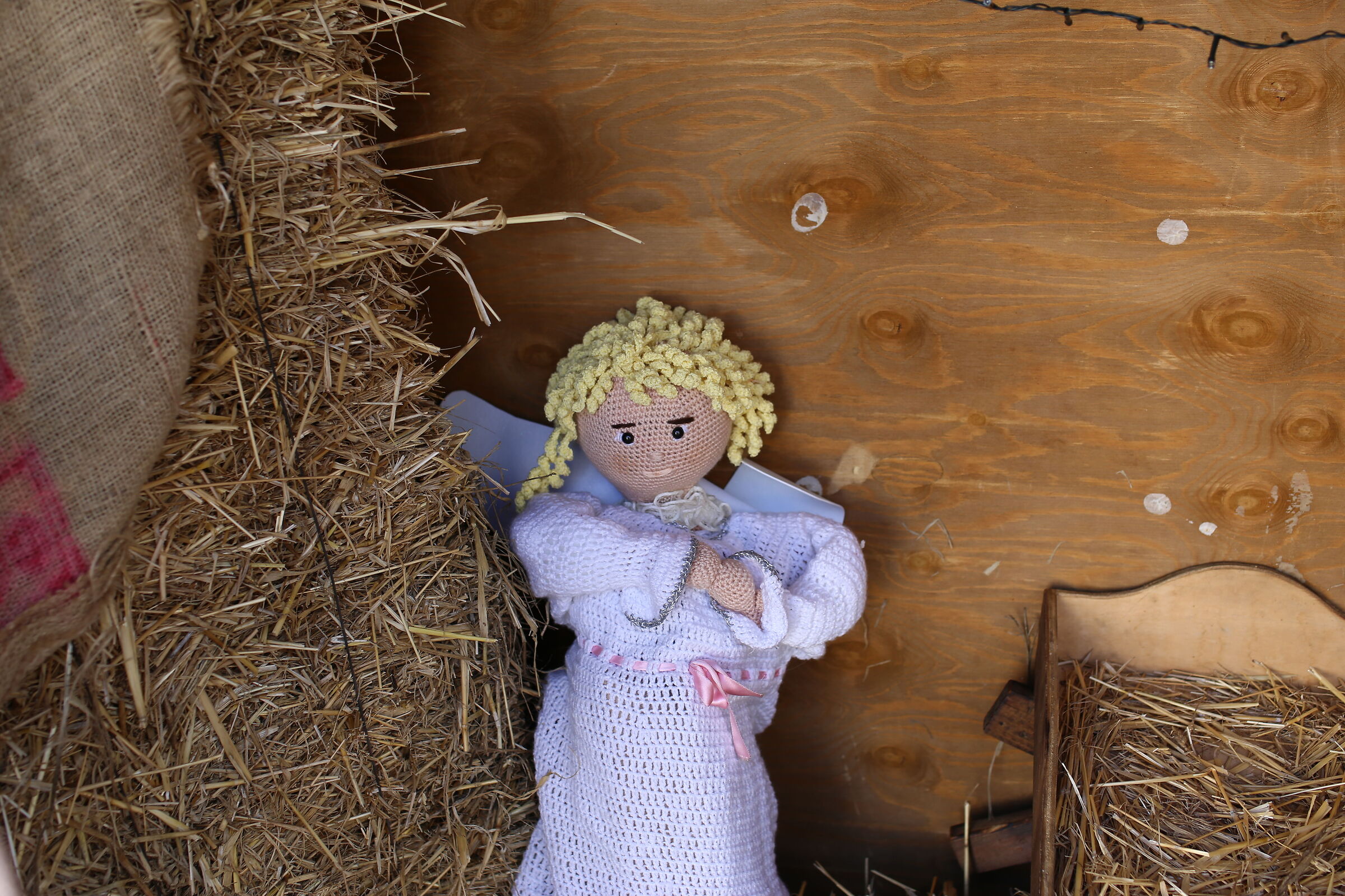 Milvus Zeiss 50, 1.4- Canon 6 D