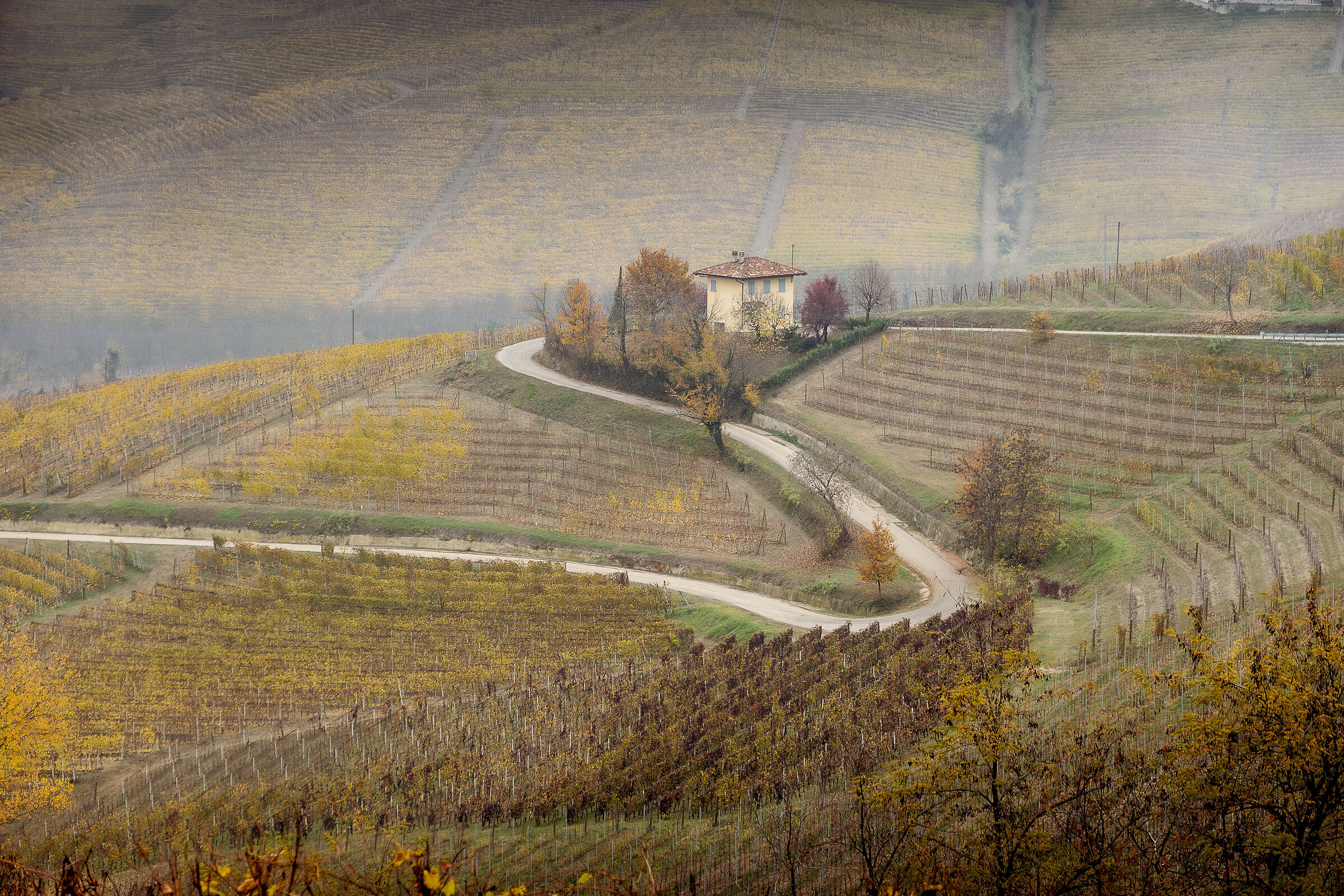 Langhe in autunno