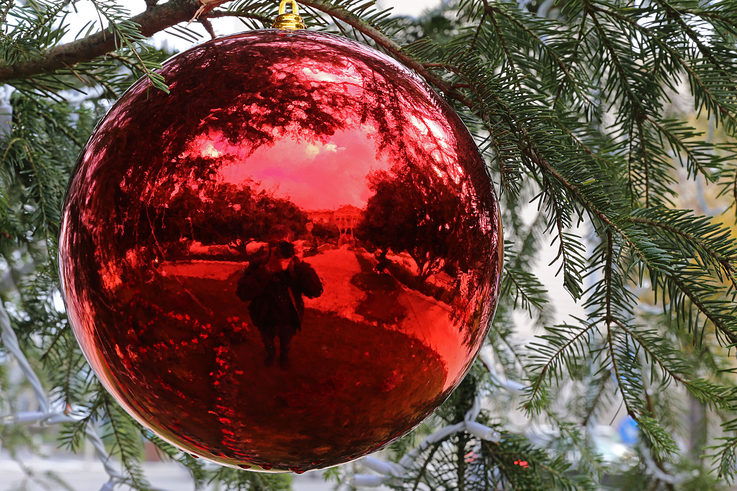 A selfie to wish you happy holidays