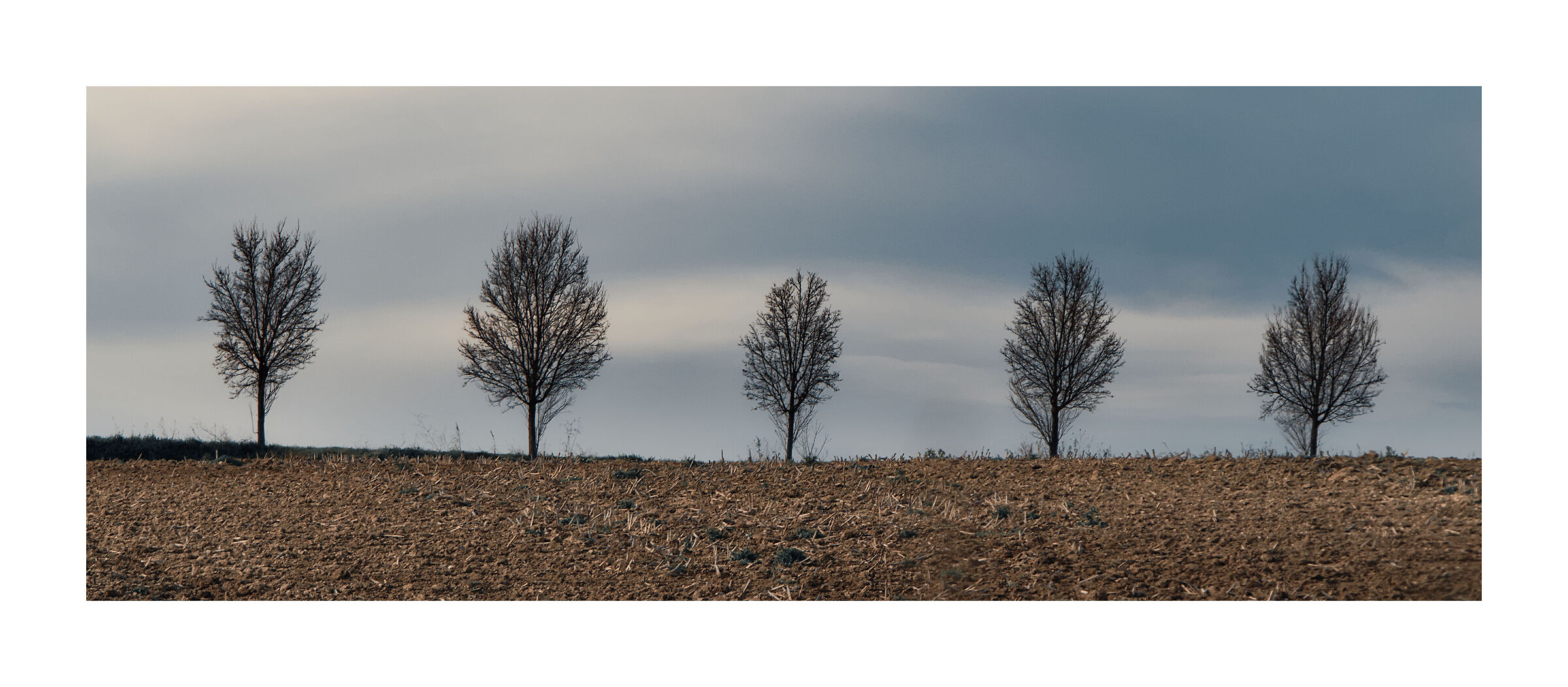 post foliage