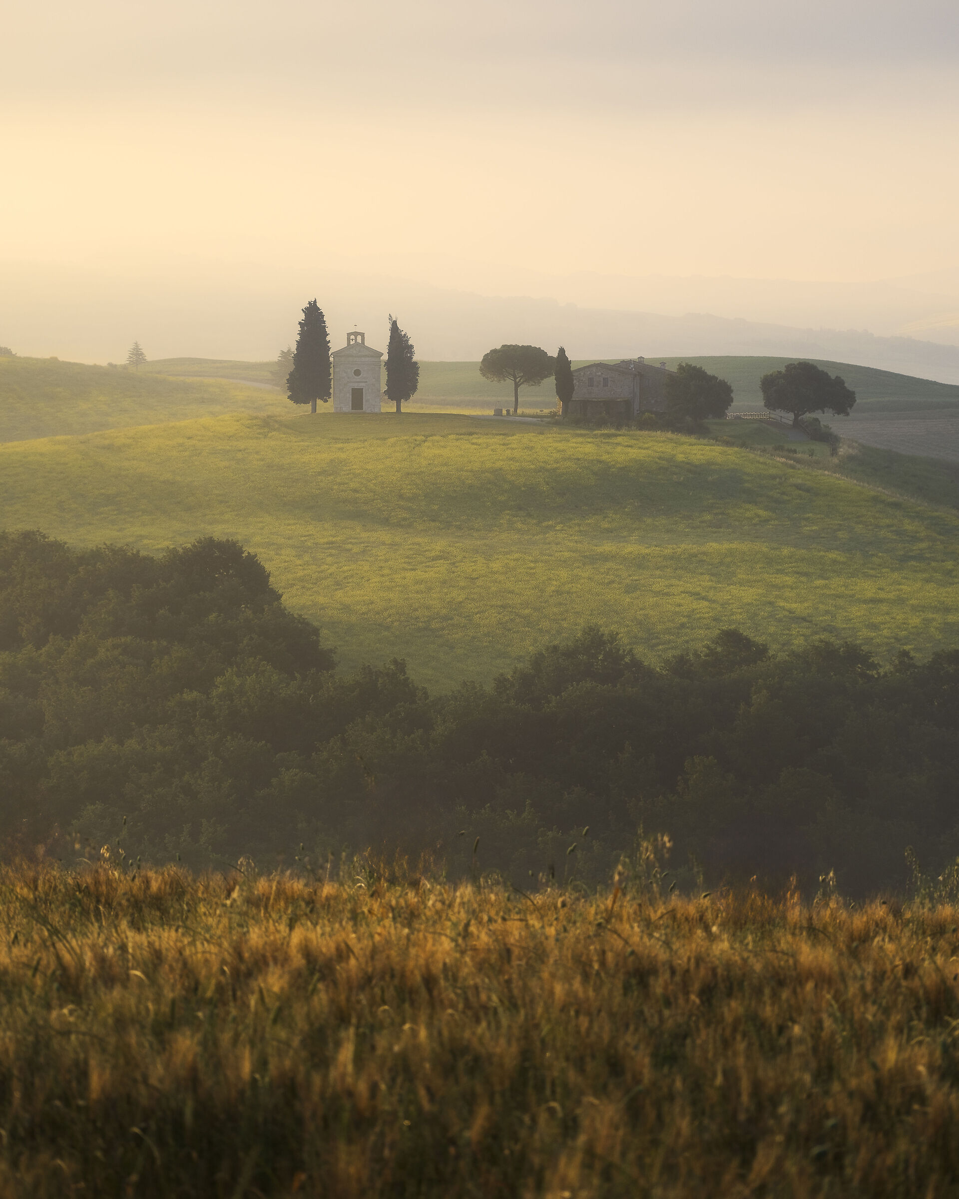 Uscendo dalla tana della notte la luce si guarda ovunqe