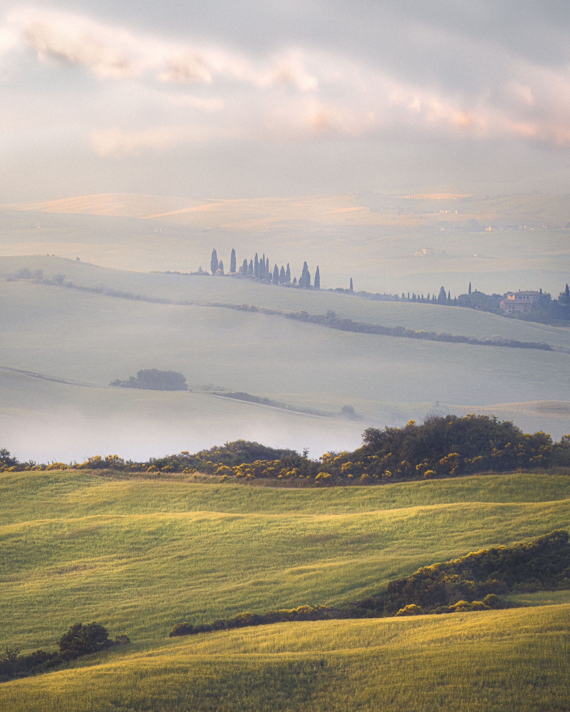 La nebbia è ciò che rimane di un sogno