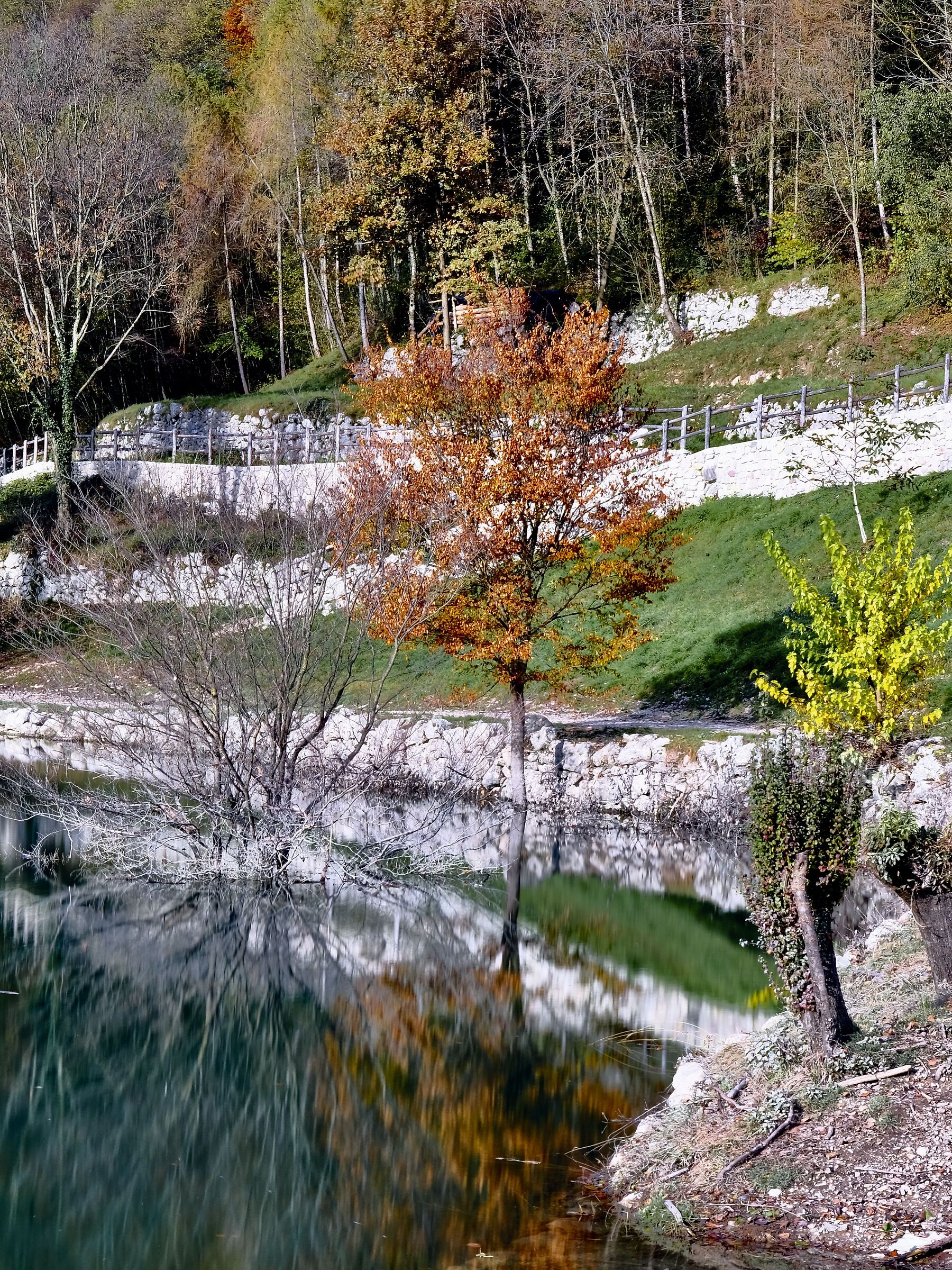 Lake Tenno - Reflections 1