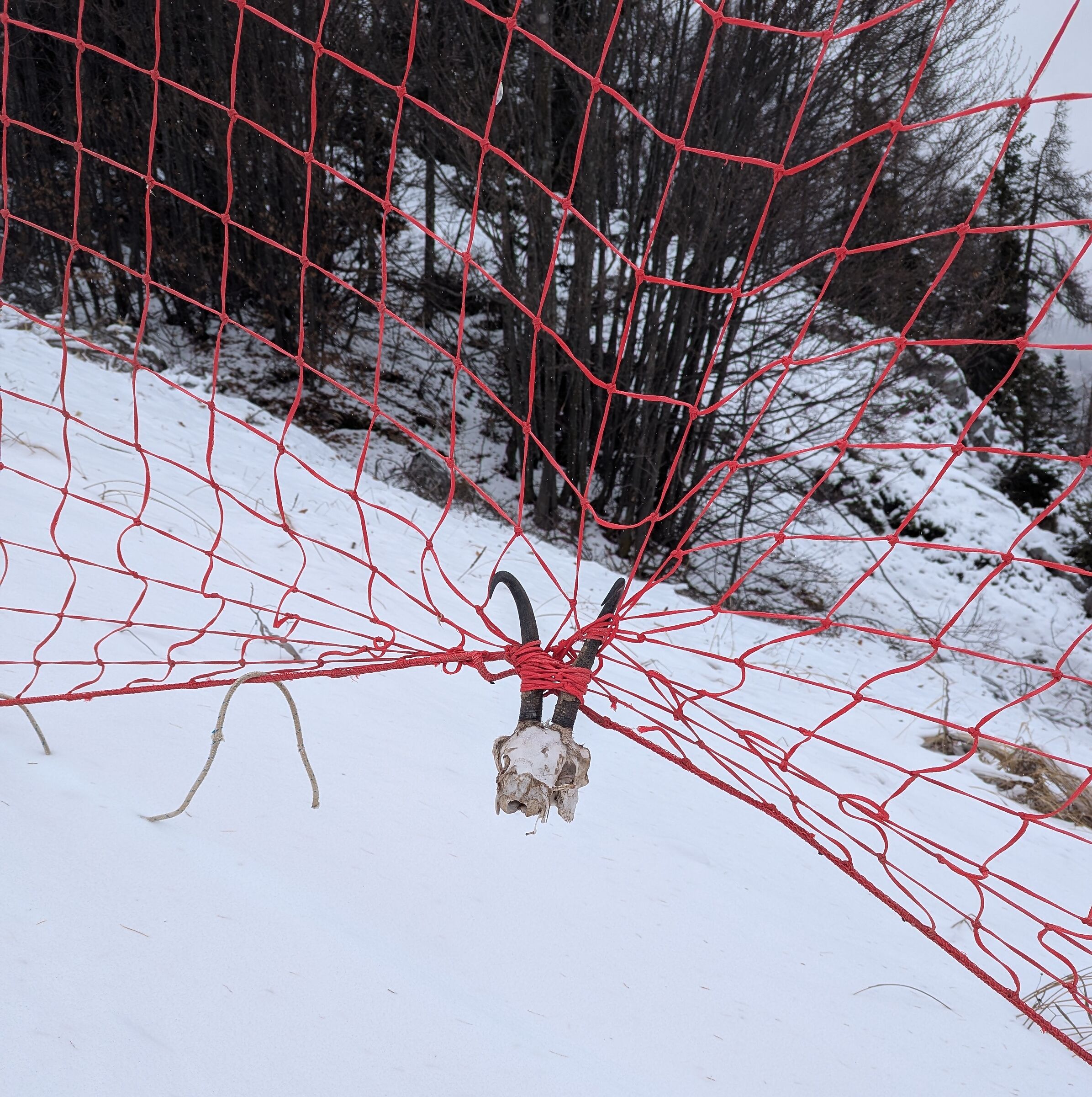 No Ski Pass