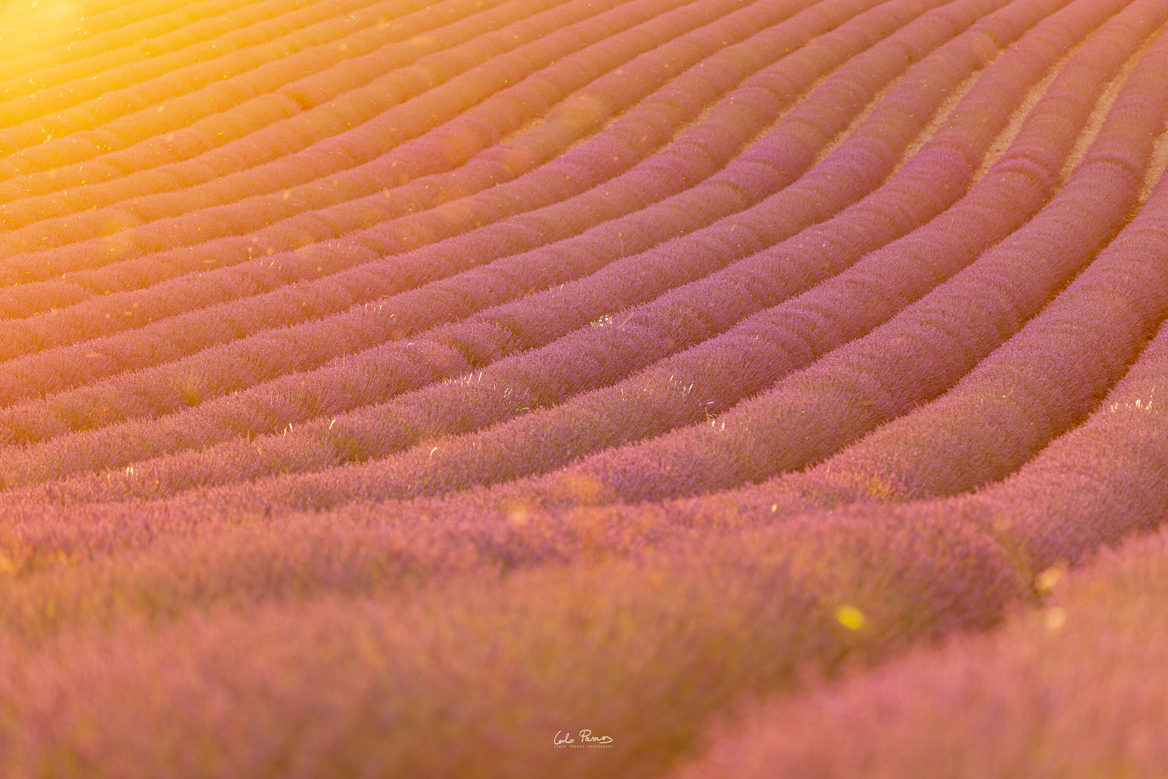 Somewhere in Provence