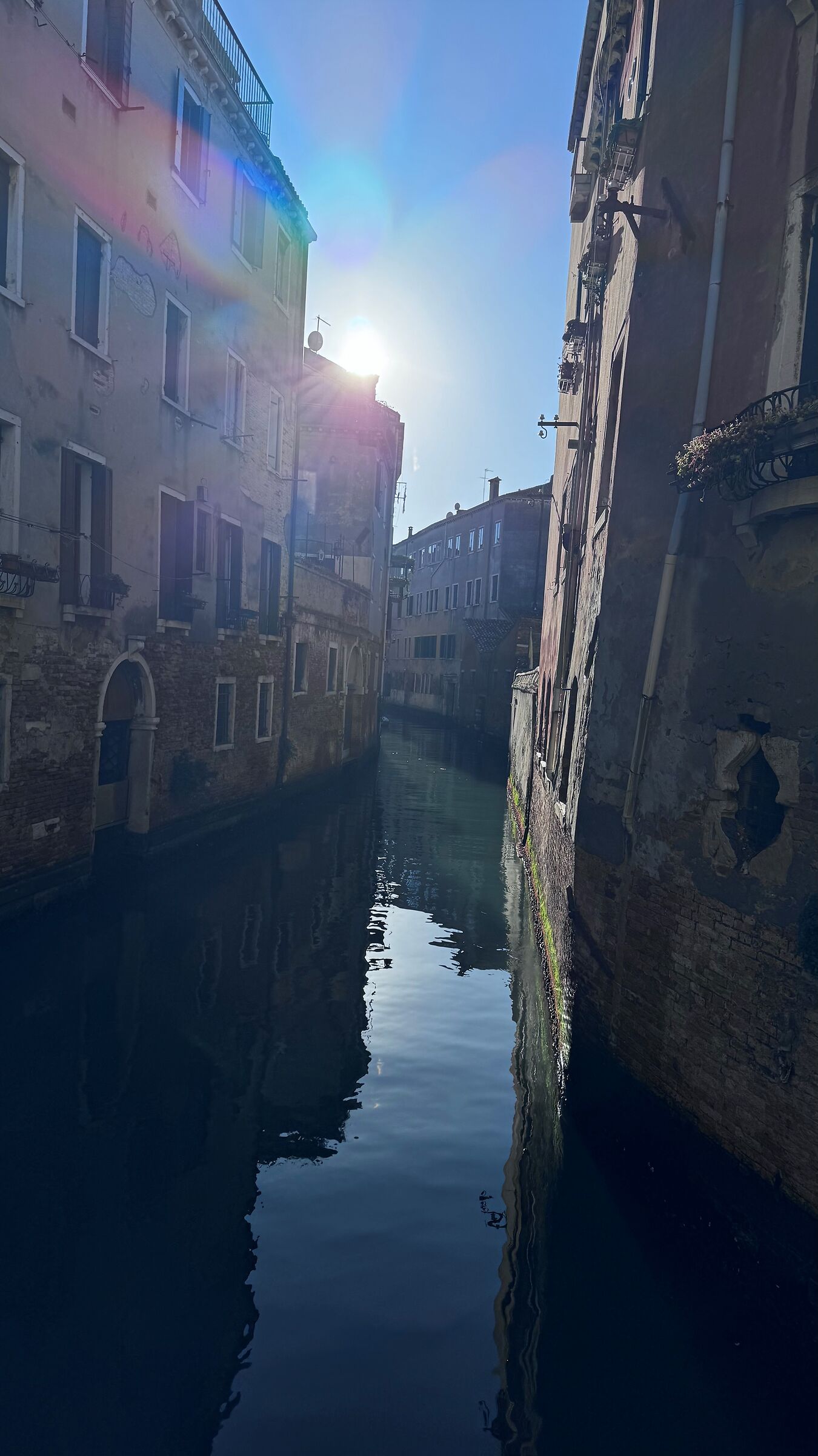 mi illumino di immenso