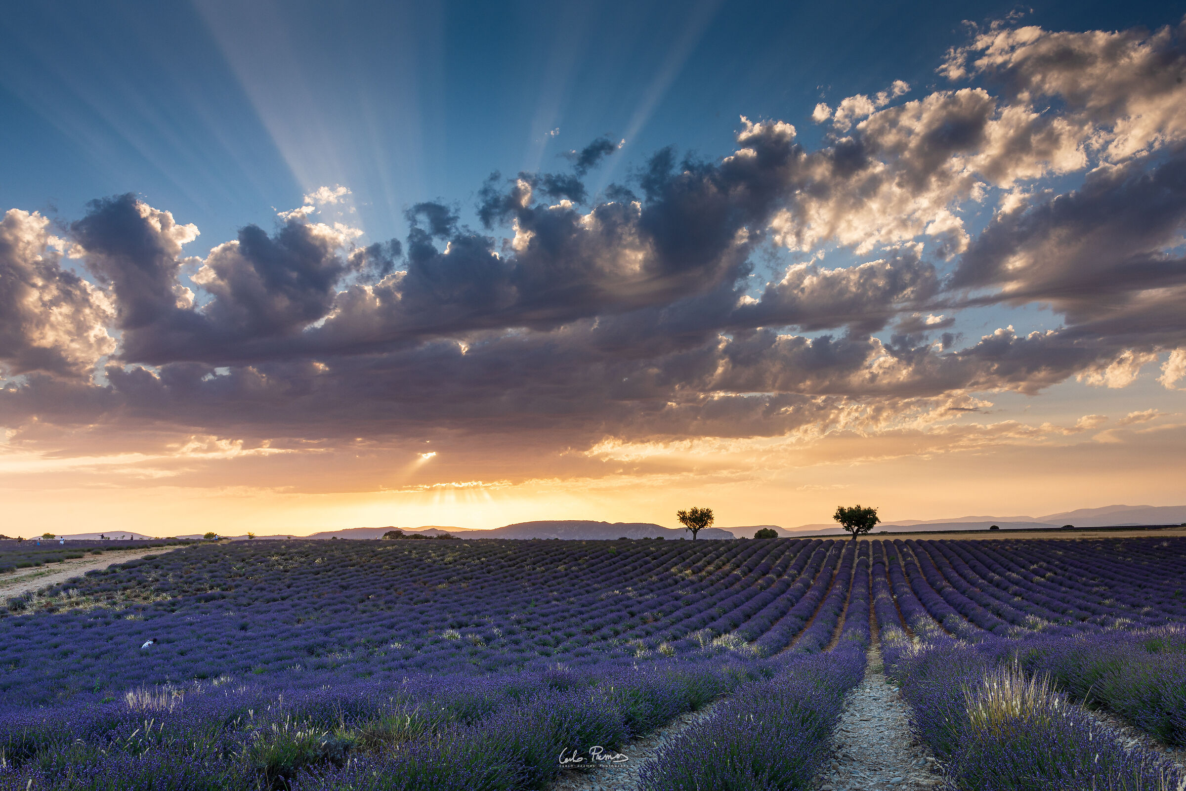Somewhere in Provence