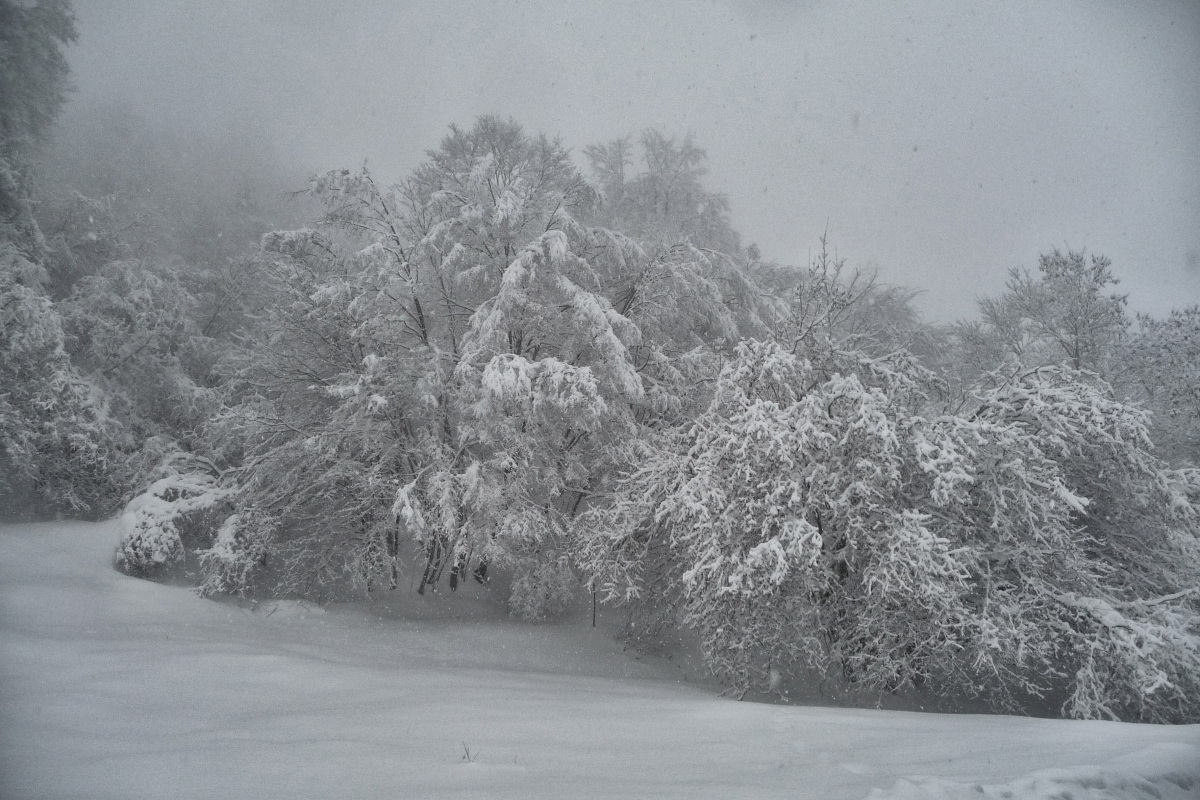 spectacular snowfall
