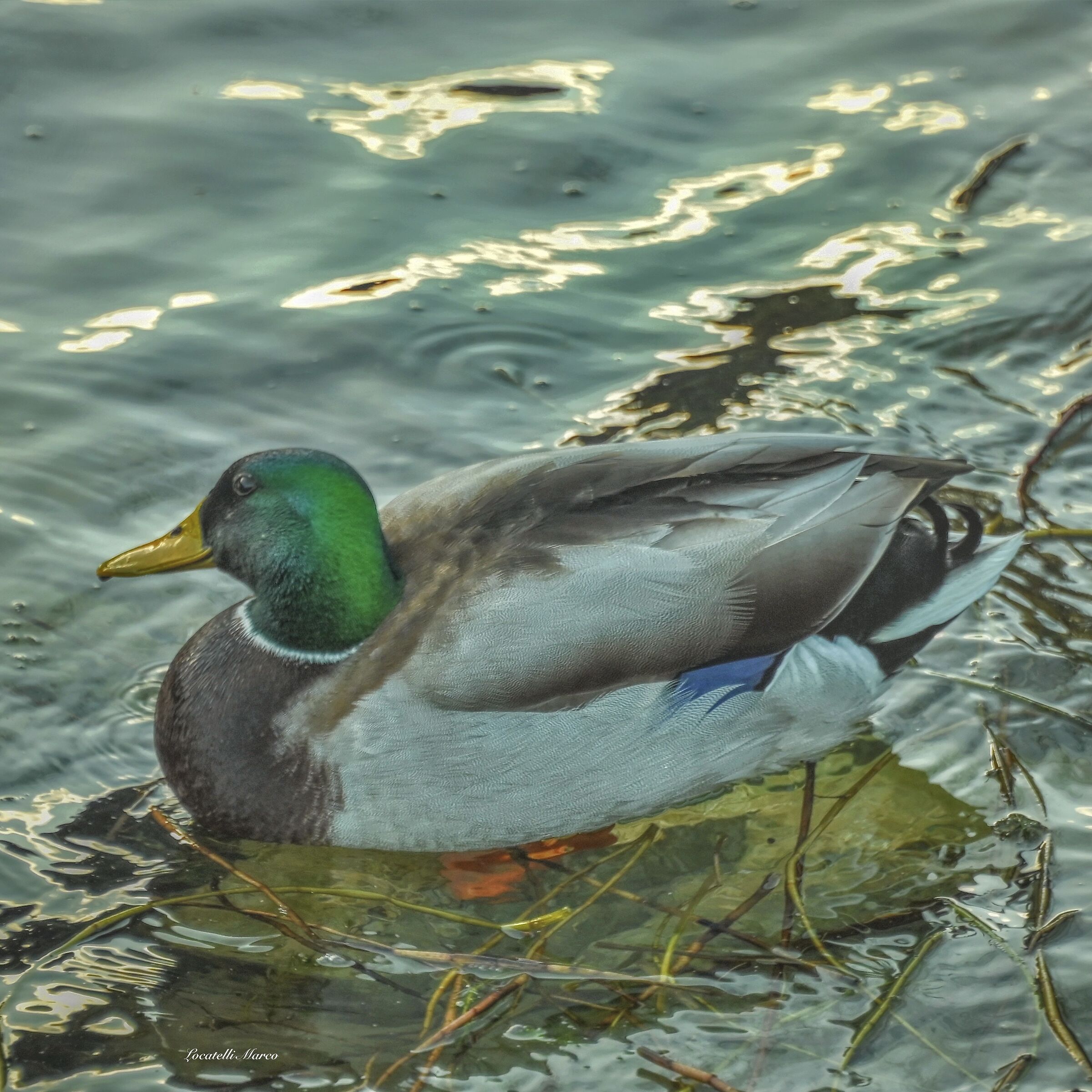 Untitled Photo
