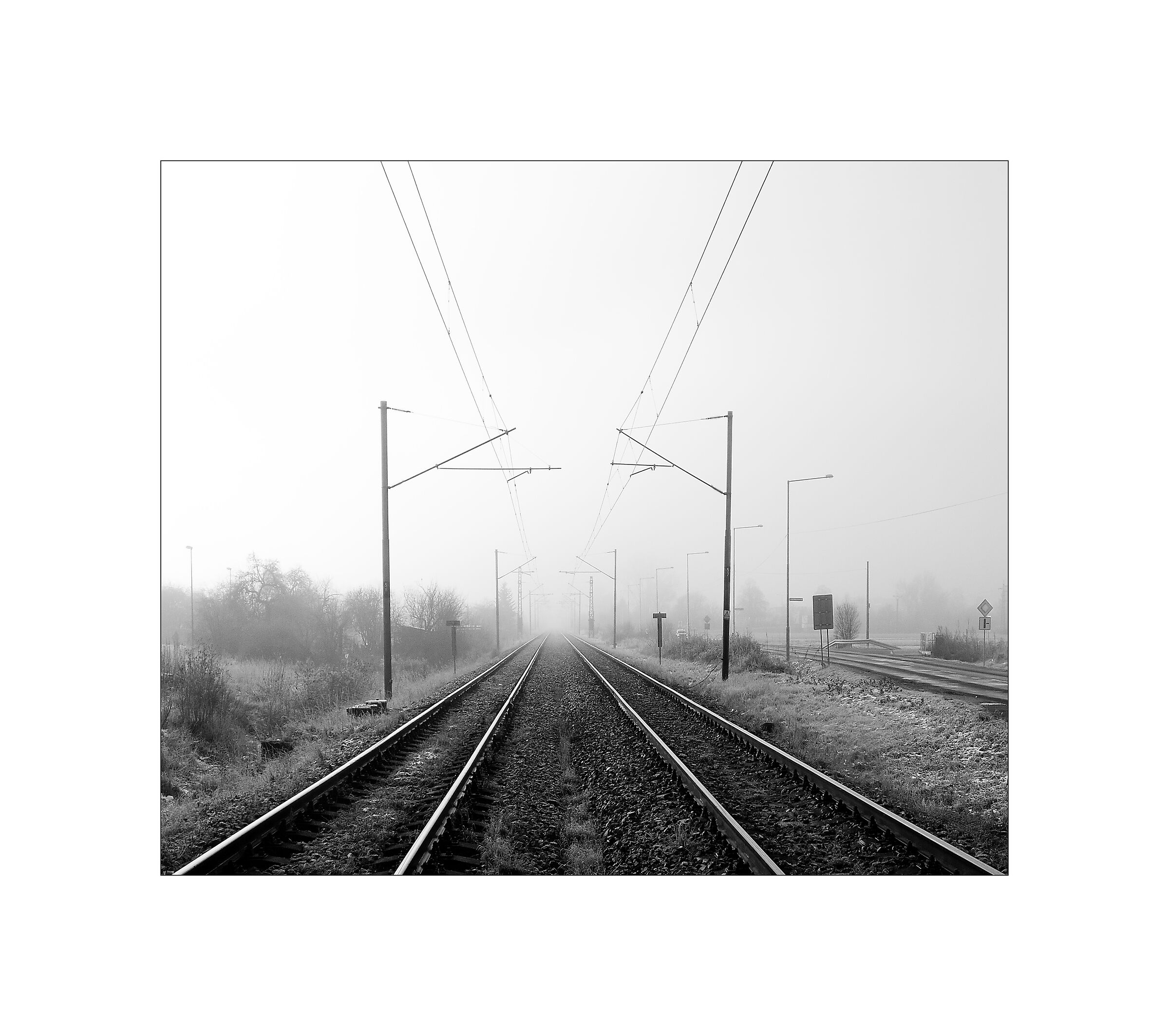 Untitled Photo