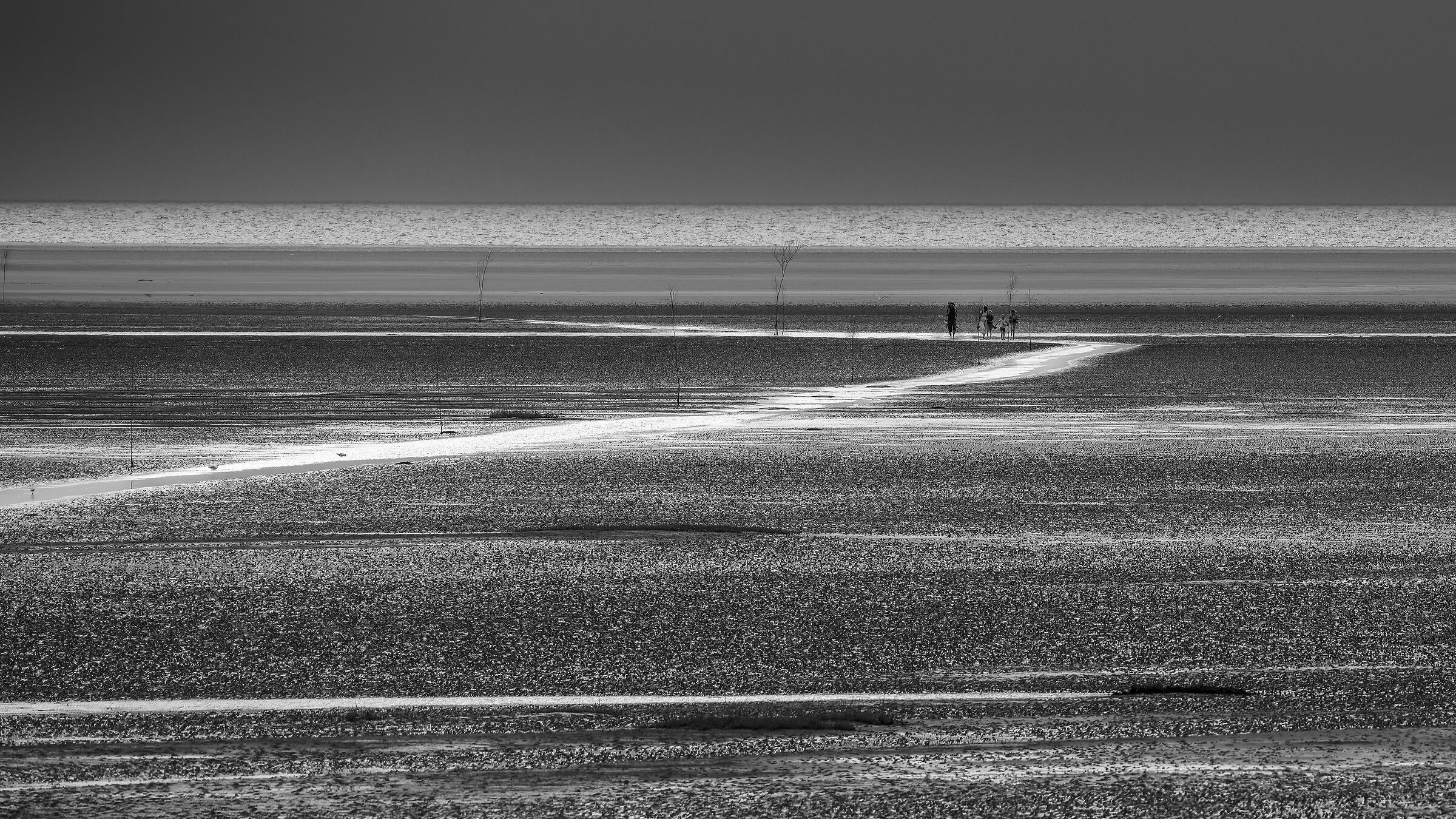 Hurry up ! Before the tide comes