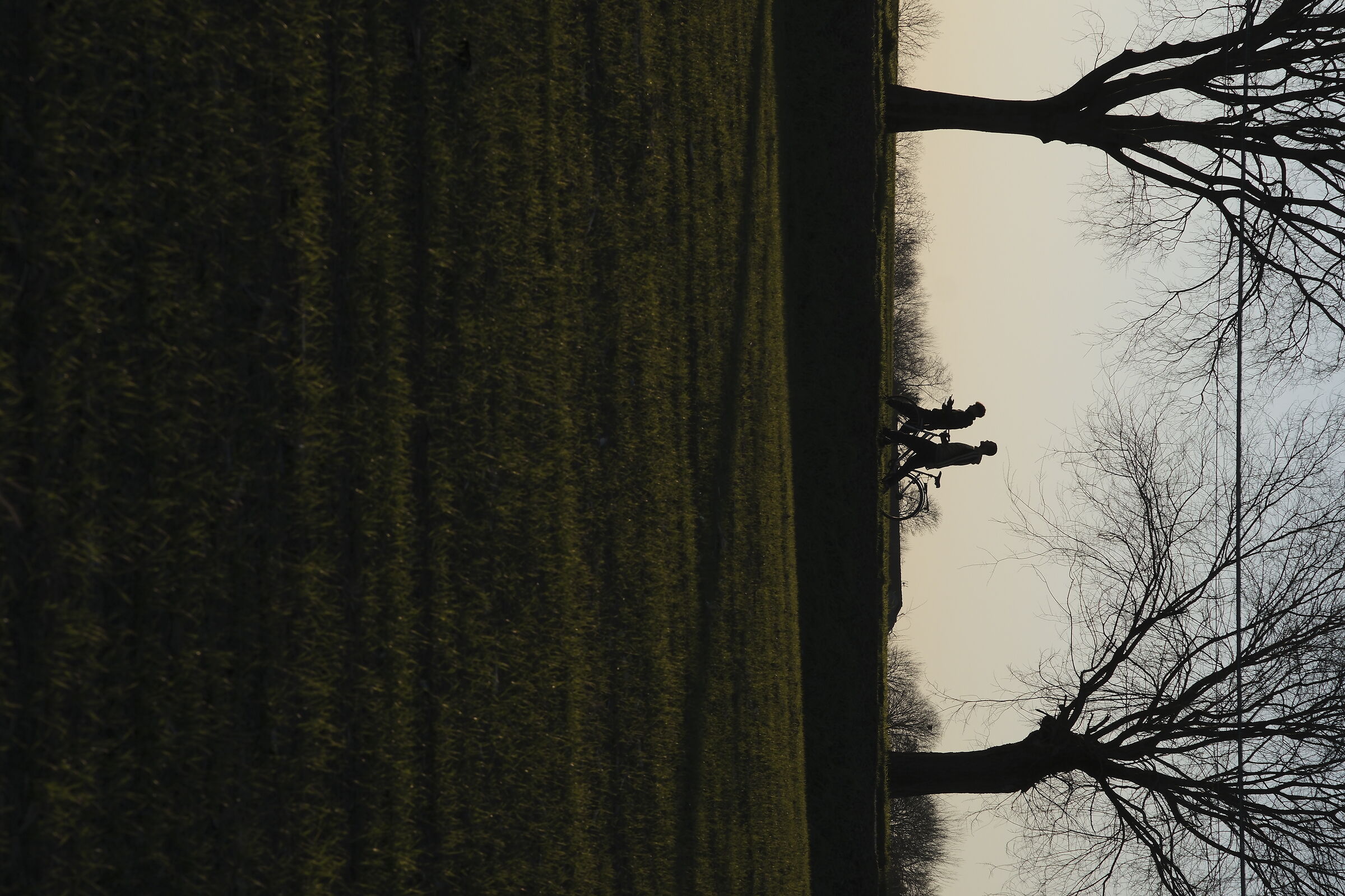 silhouette di alcuni passanti