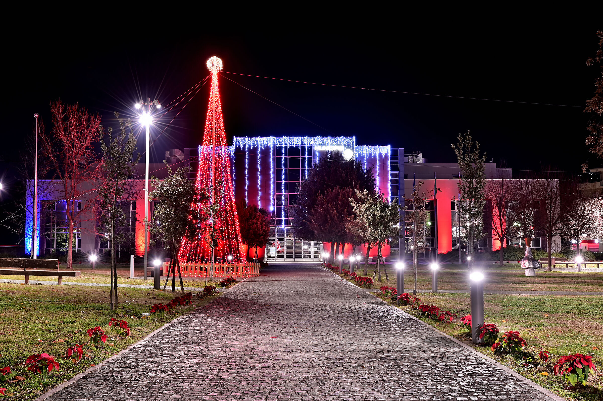 The Avenue of Christmas Stars - Rossini Park - Rende