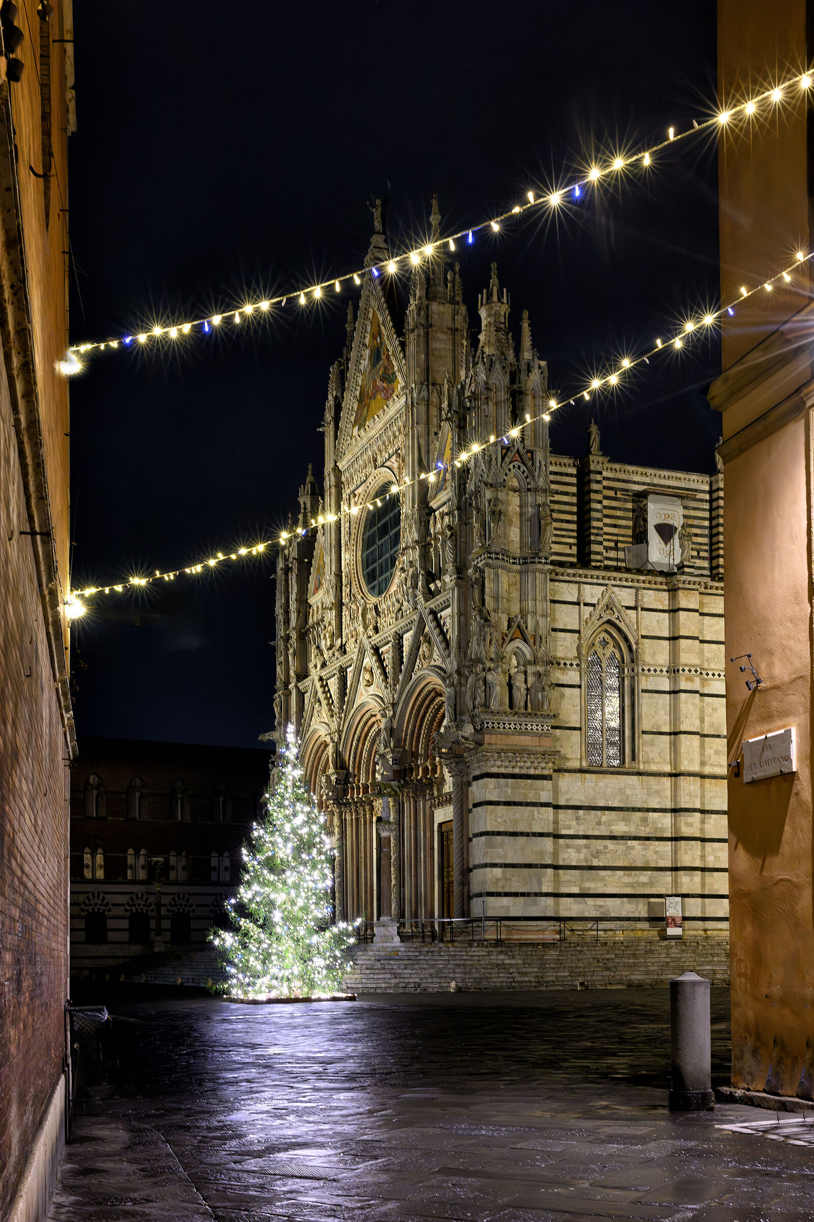 Merry Christmas, between the lights of the sacred and the pr...