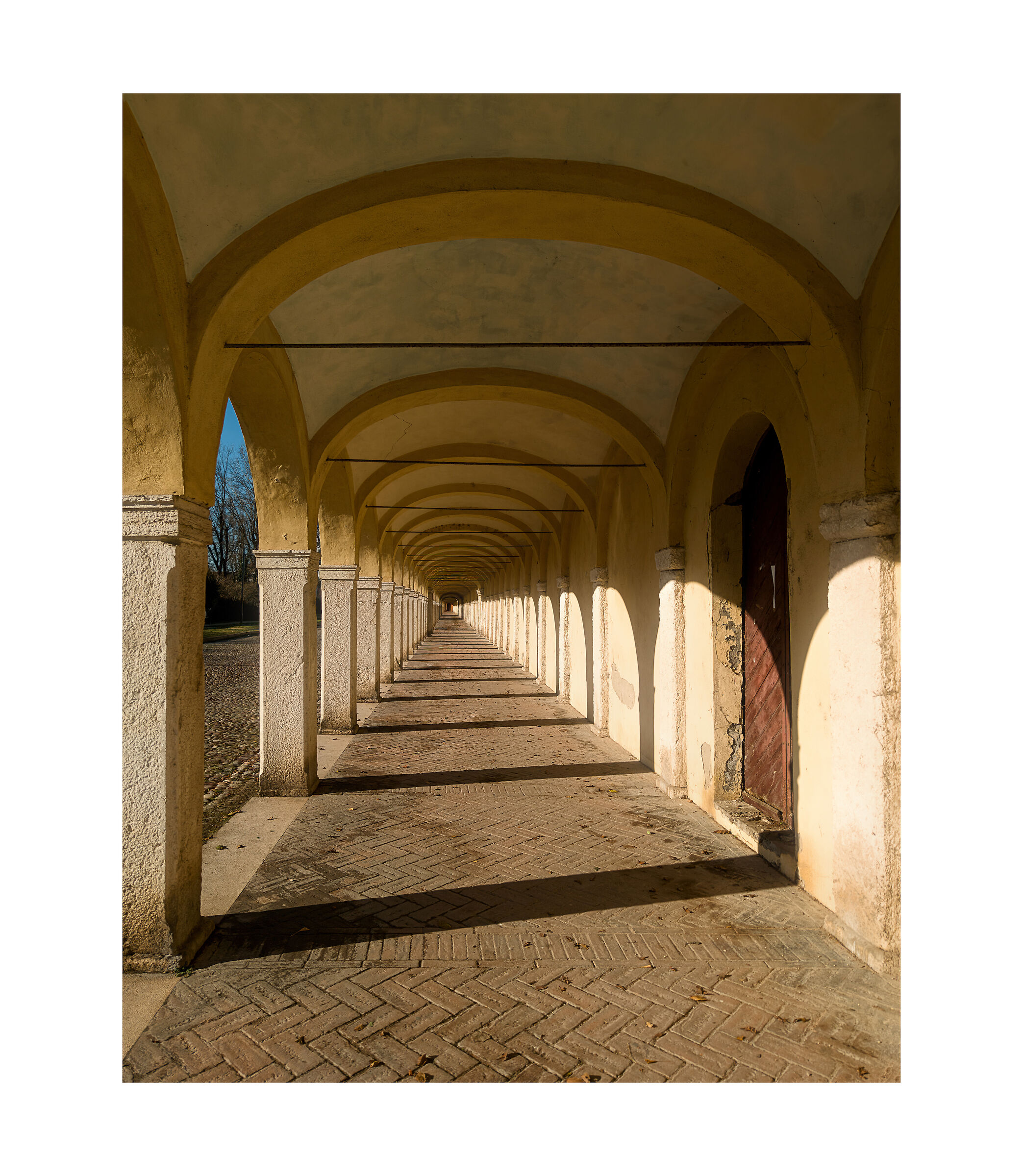 The Path