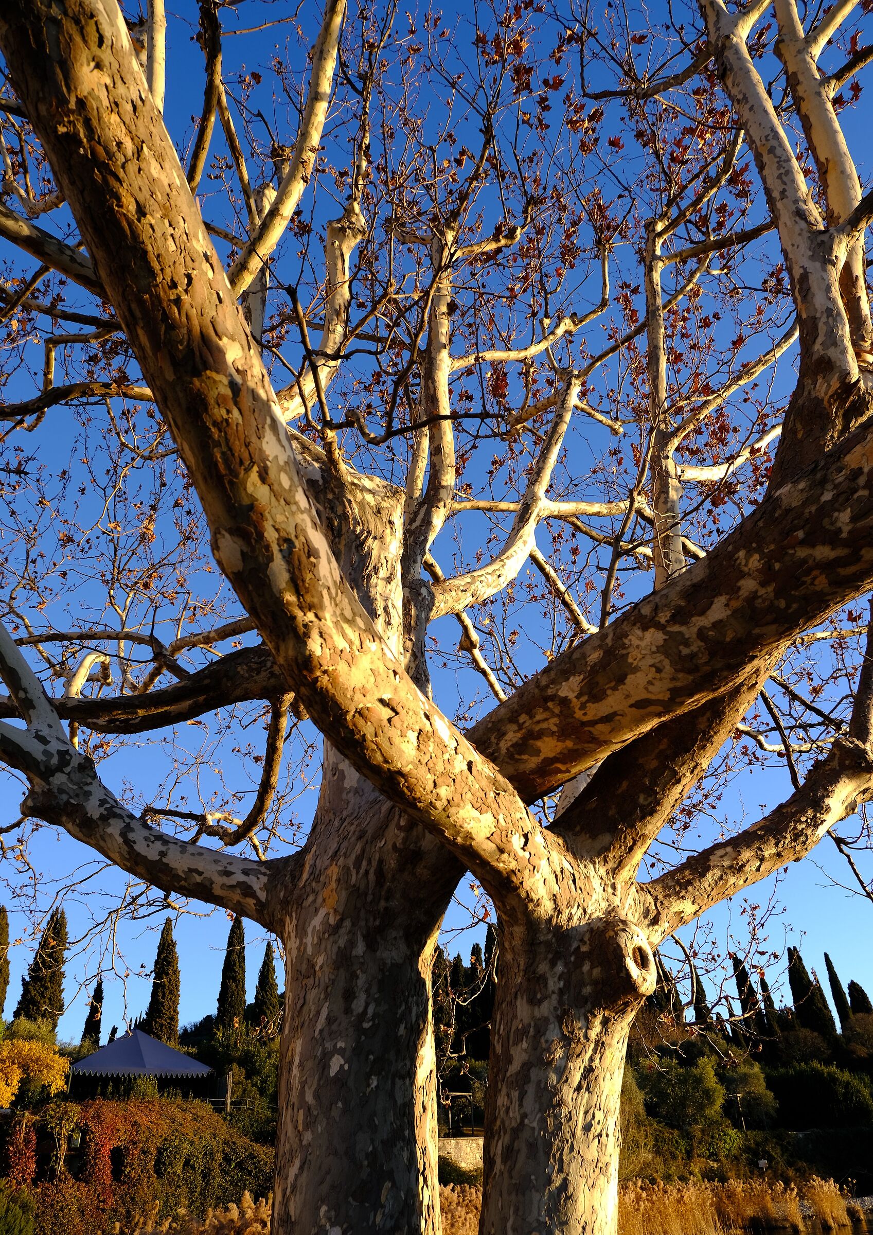 Untitled Photo