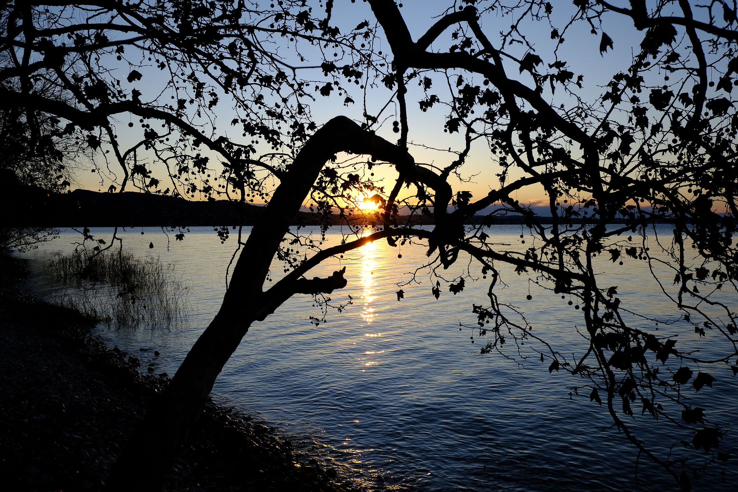 Untitled Photo