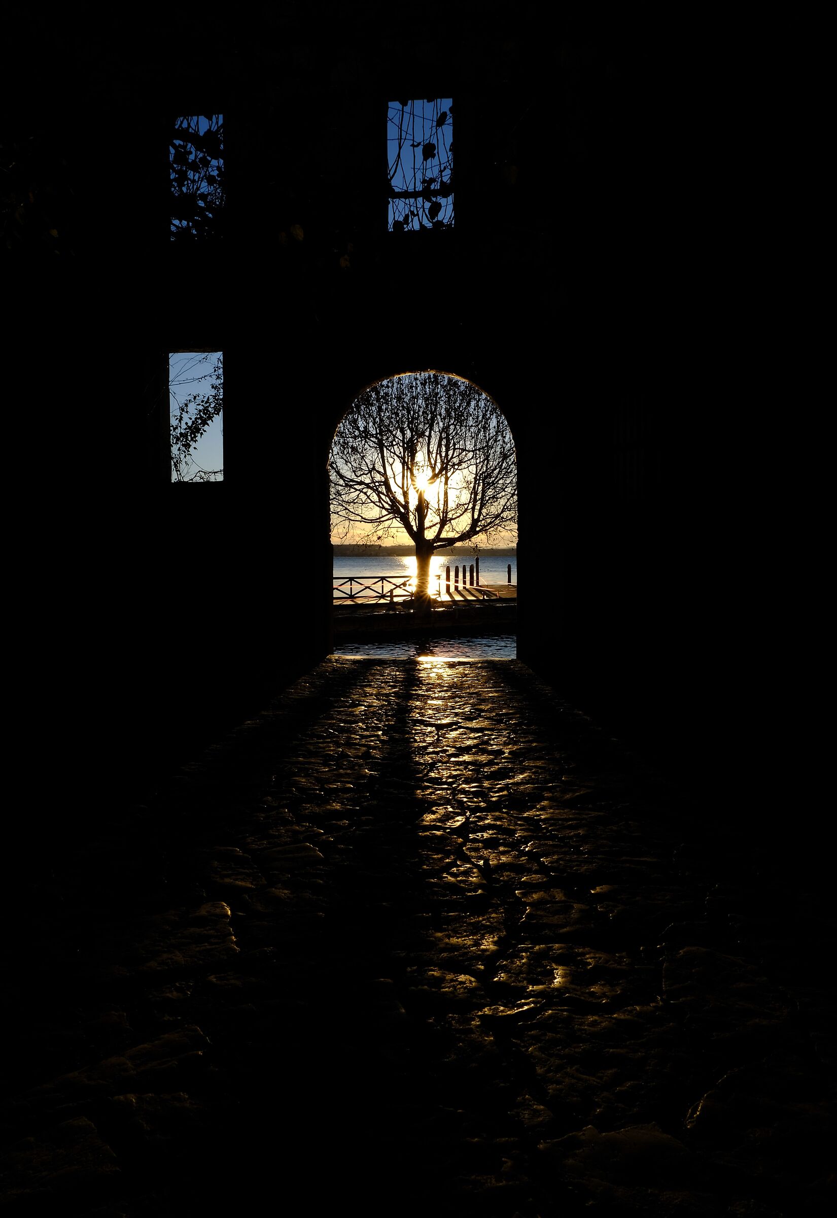 Untitled Photo