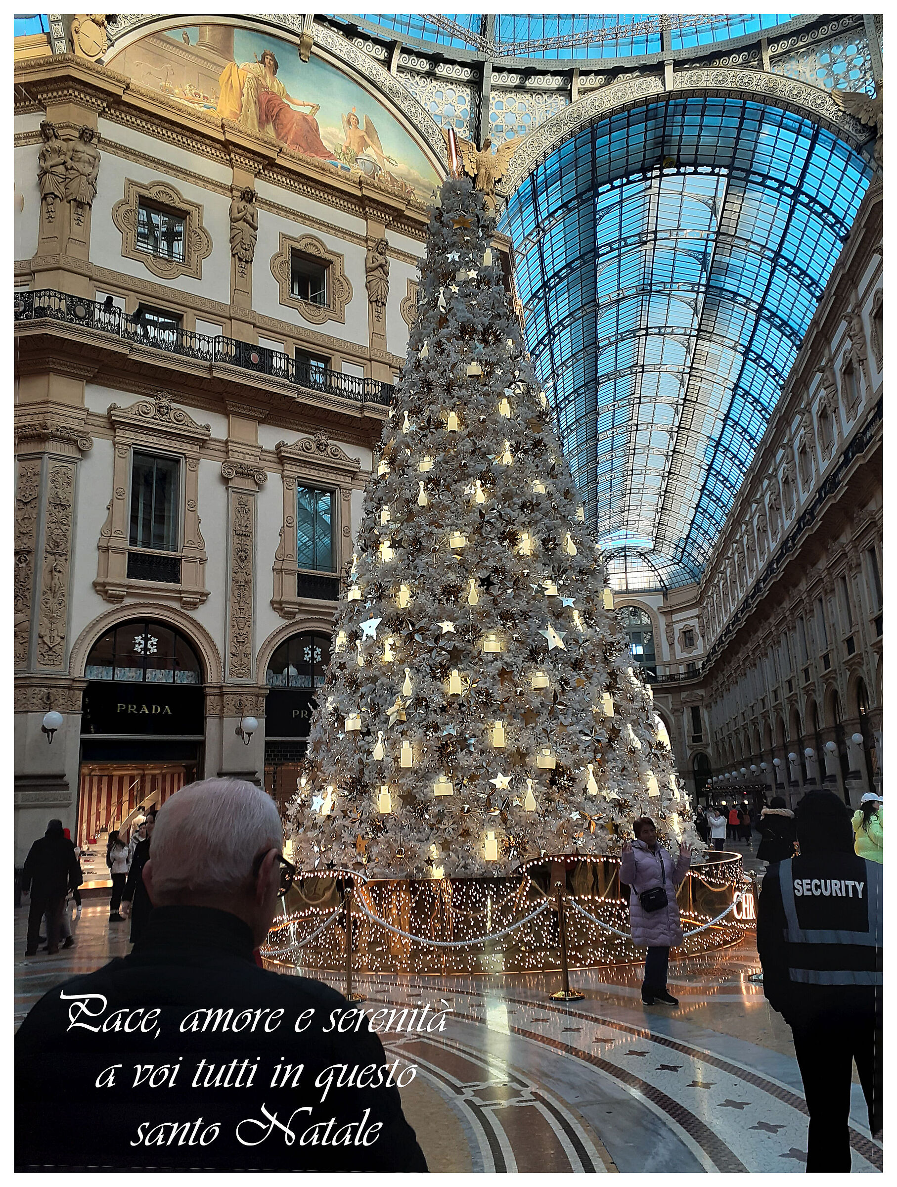 Dior Tree in Galleria Milano
