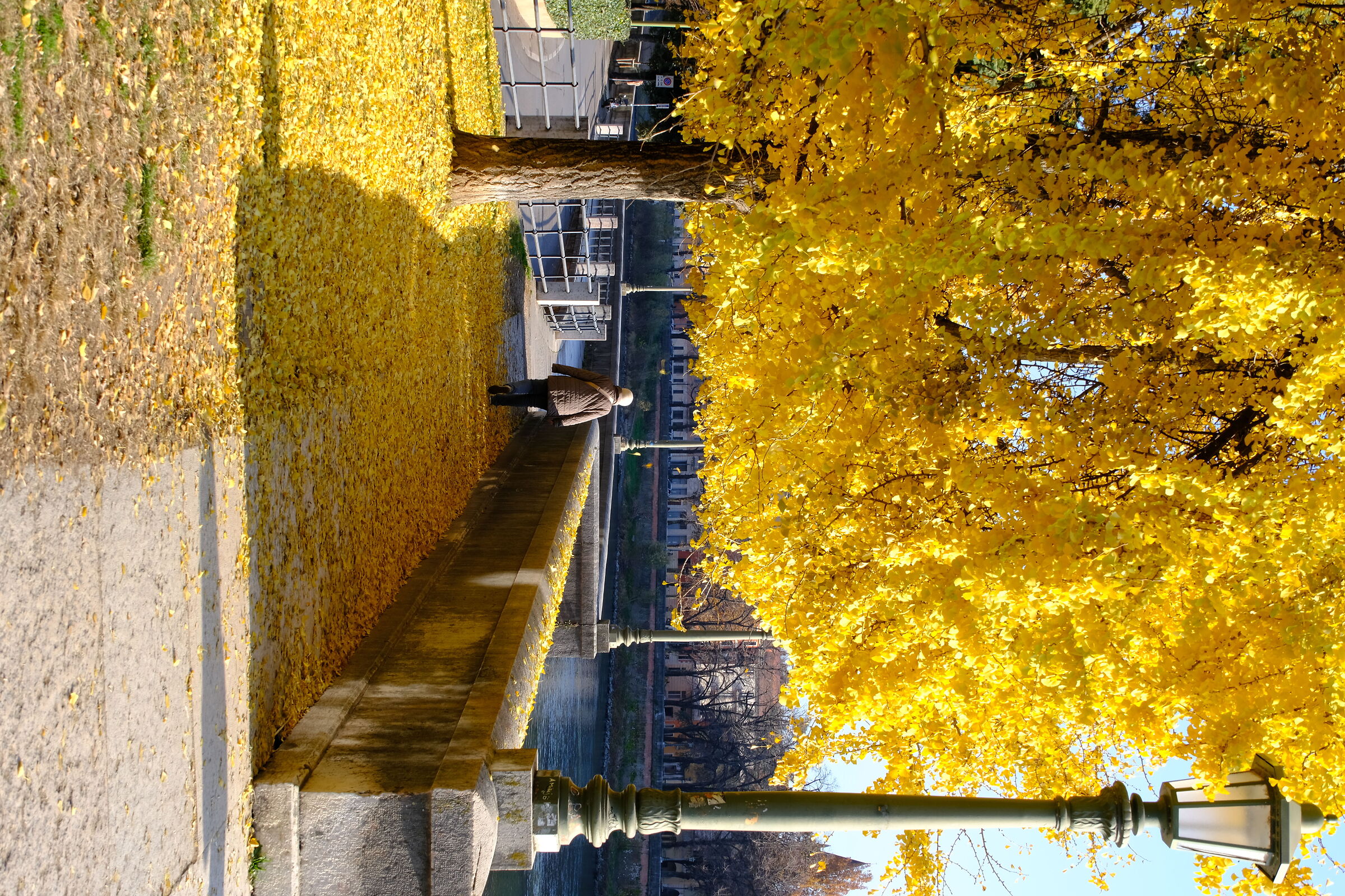 Untitled Photo