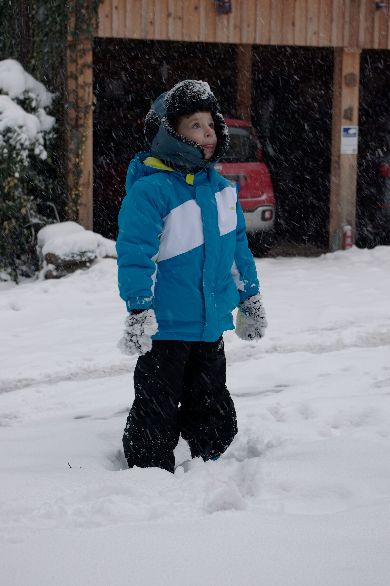 Gigi on the snow  - Natale 2024