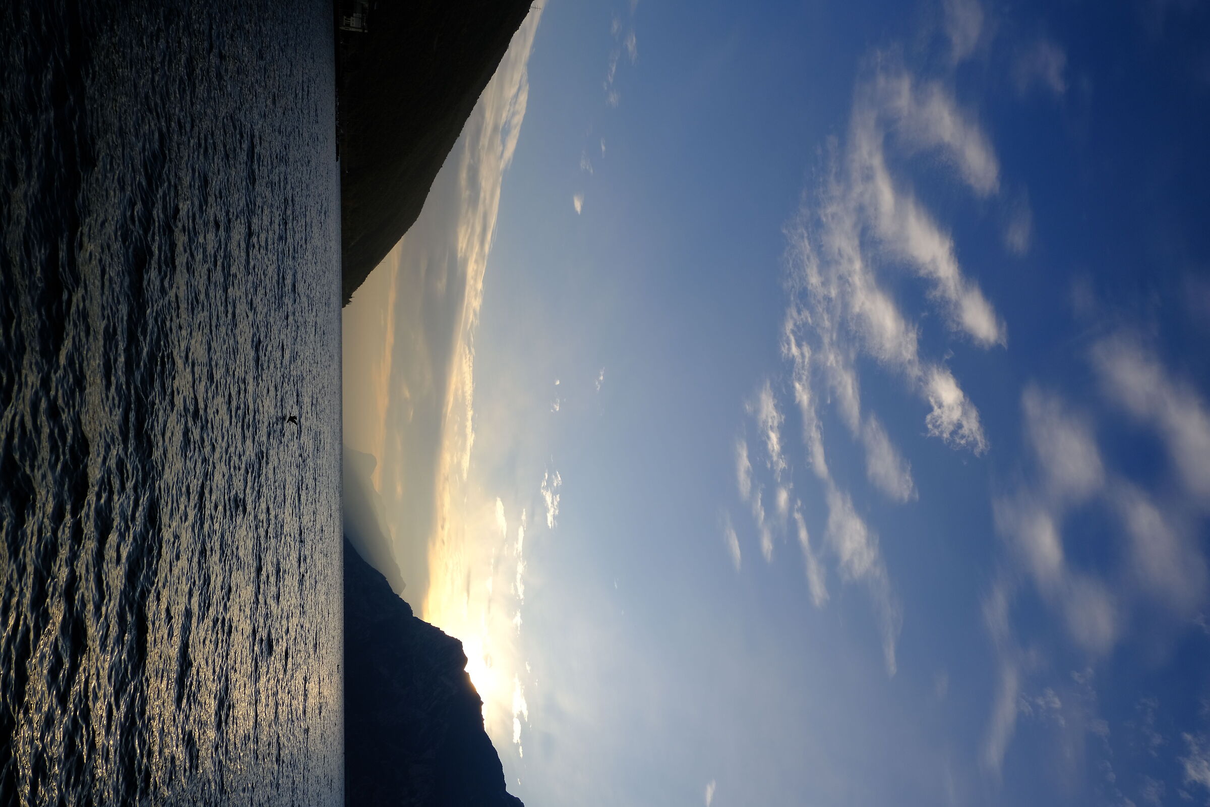 Untitled Photo